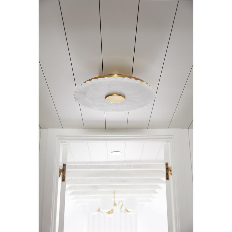 Zio and Sons Havana Medium Chandelier by Mitzi