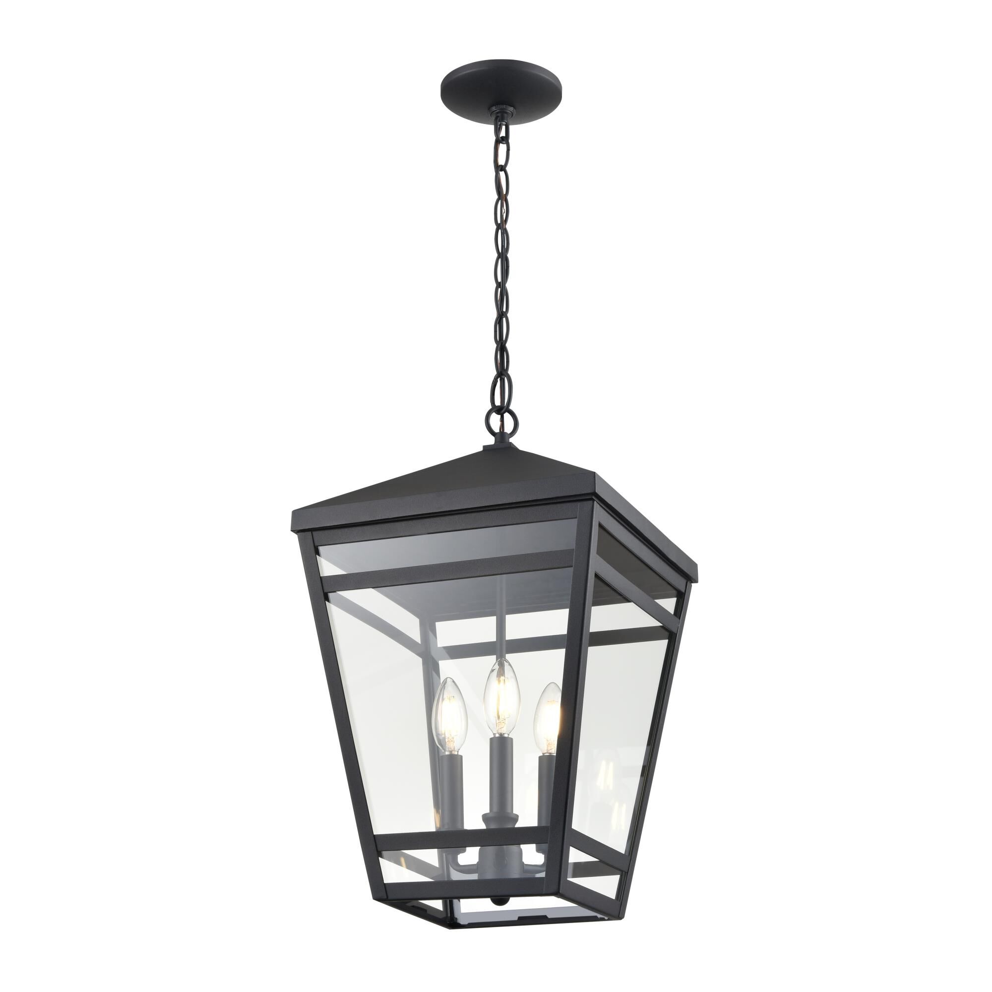 Seager 12 Inch Outdoor Hanging Lantern by Millenium Lighting