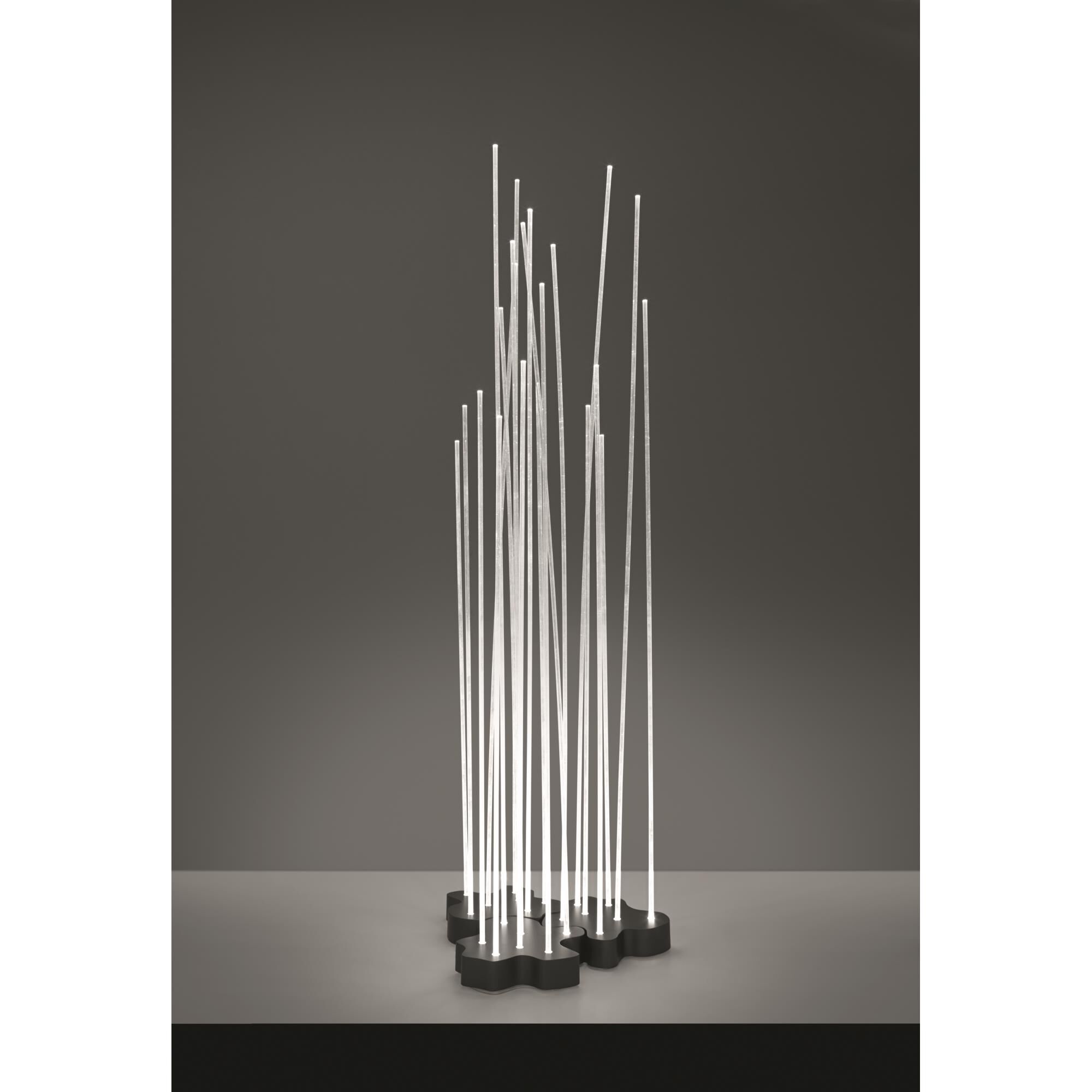 Shown in Transparent (Rods)anthracite Grey (Base) finish