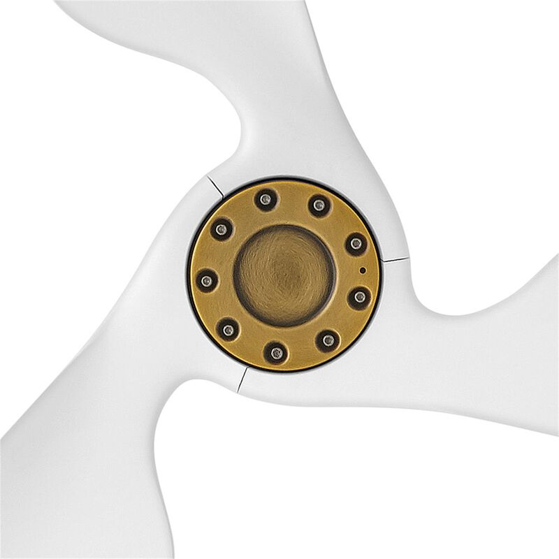 Azura Outdoor Rated 52 Inch Ceiling Fan with Light Kit by Hinkley Lighting