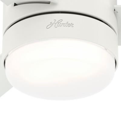 Shown in Matte White finish and Painted Cased White glass