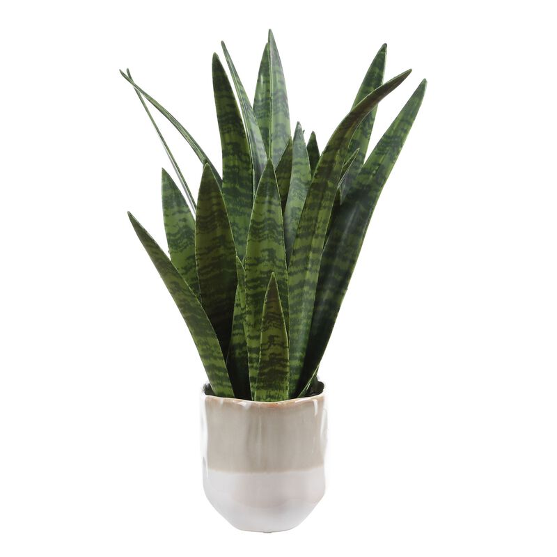 Sansera Snake Botanical by Uttermost