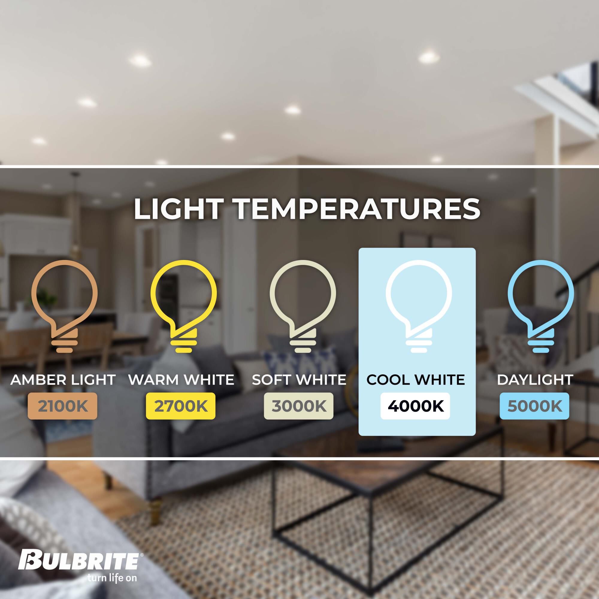 Dimmable 14 Watt 4000K LED Light Bulb by Bulbrite