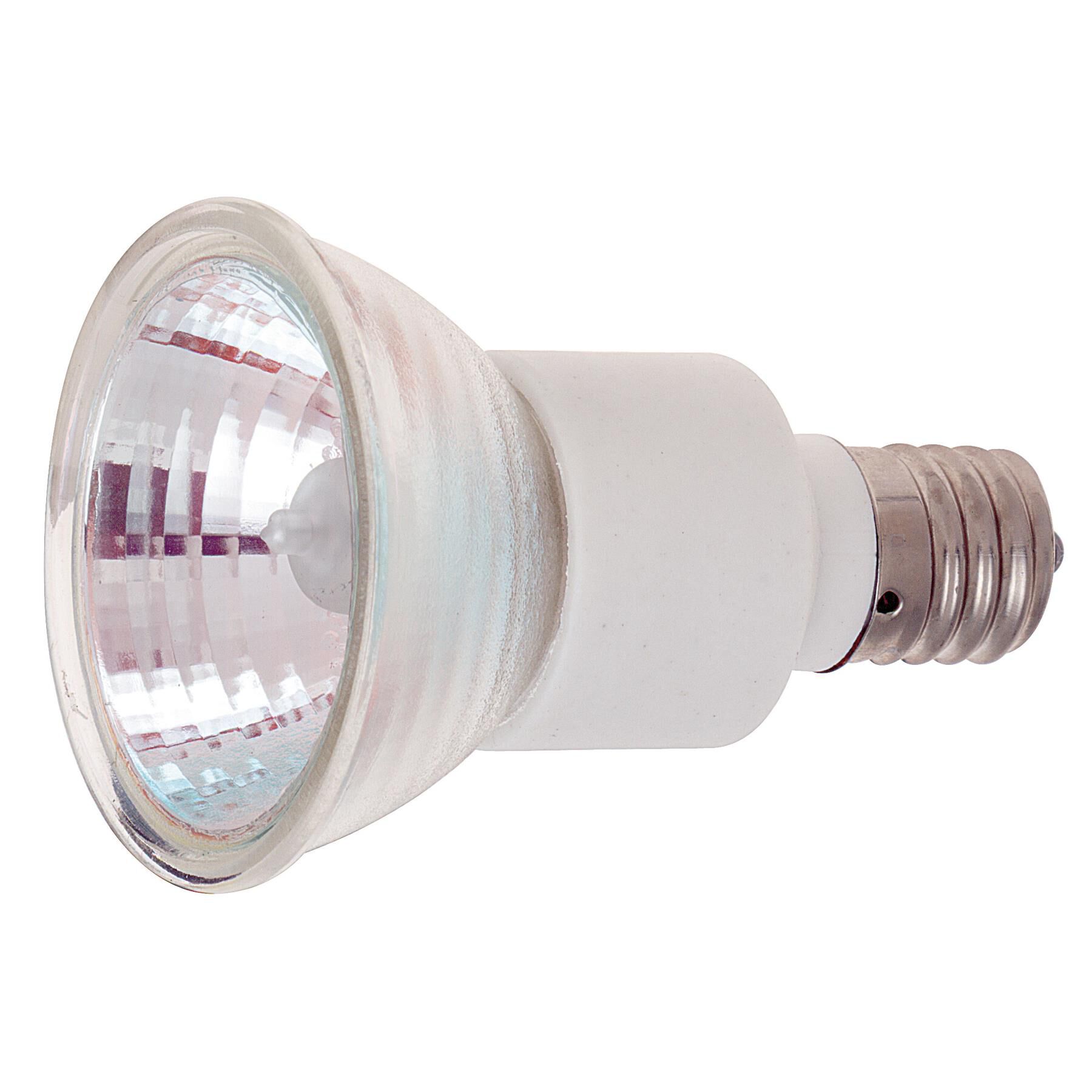 100 Watt Halogen Light Bulb,