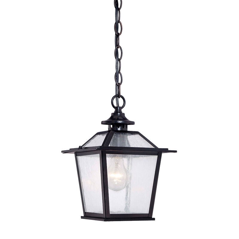 Acclaim Lighting Salem 11 Inch Tall Outdoor Hanging Lantern