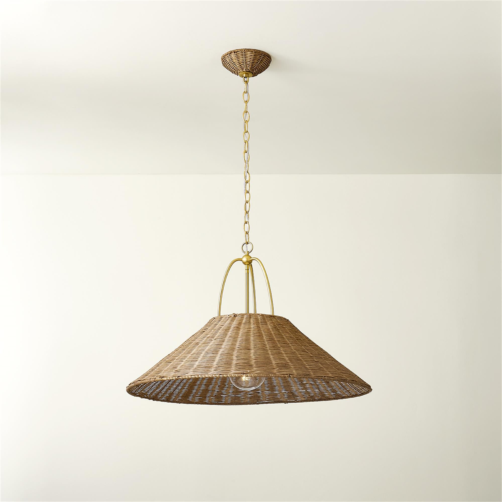 Zoe Feldman Davida Medium Pendant Light,