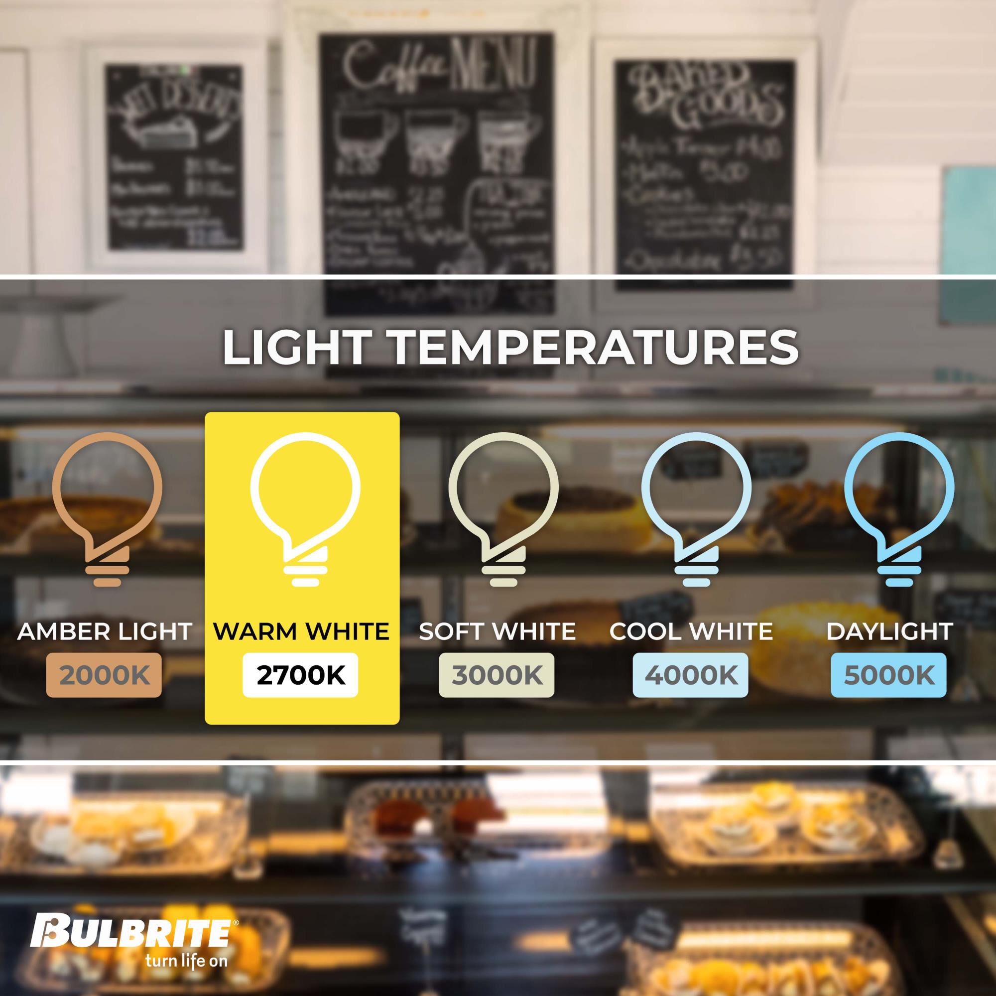 75 Watt 2700K T8 Incandescent Light Bulb by Bulbrite