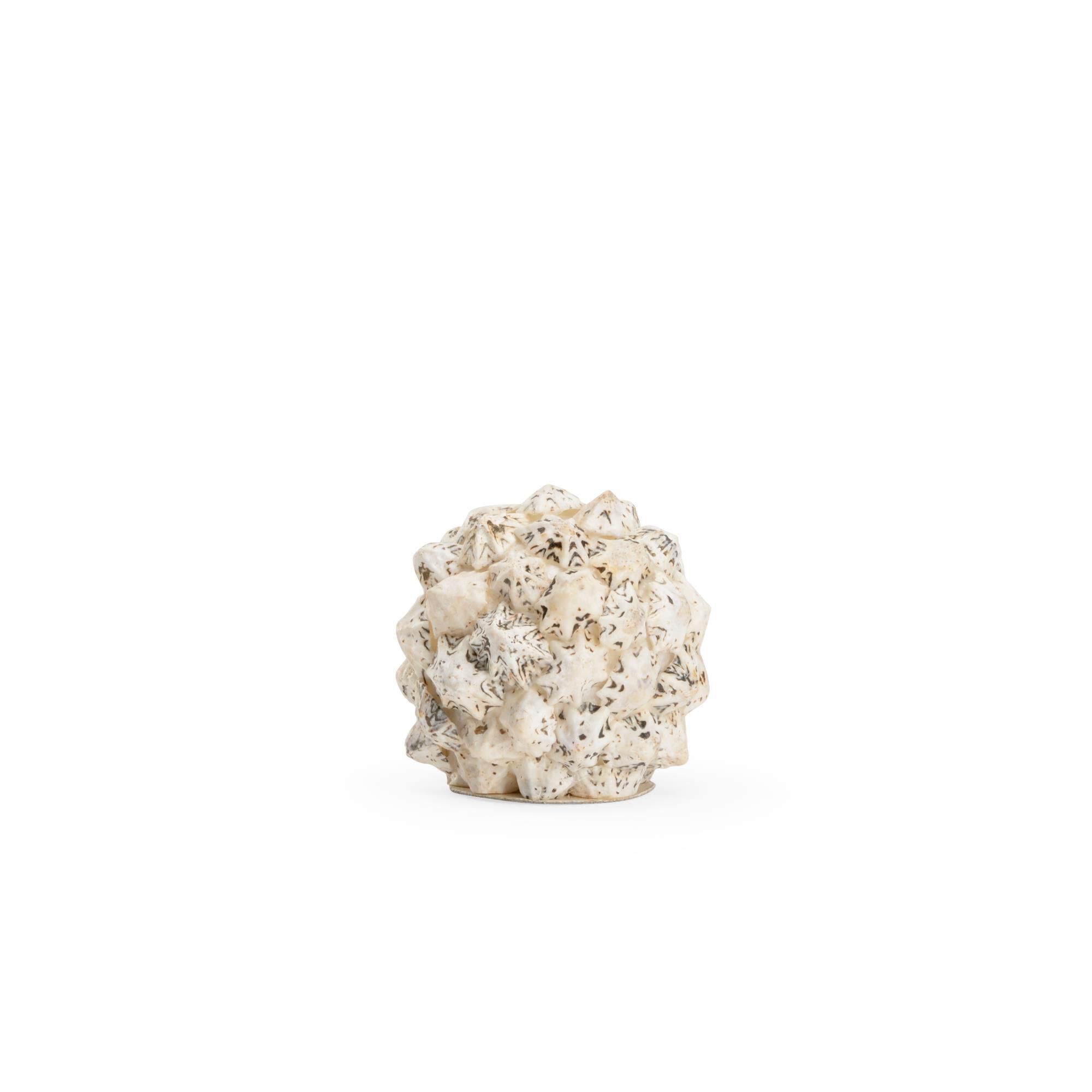 Shell Ball Decorative Sphere by Chelsea House