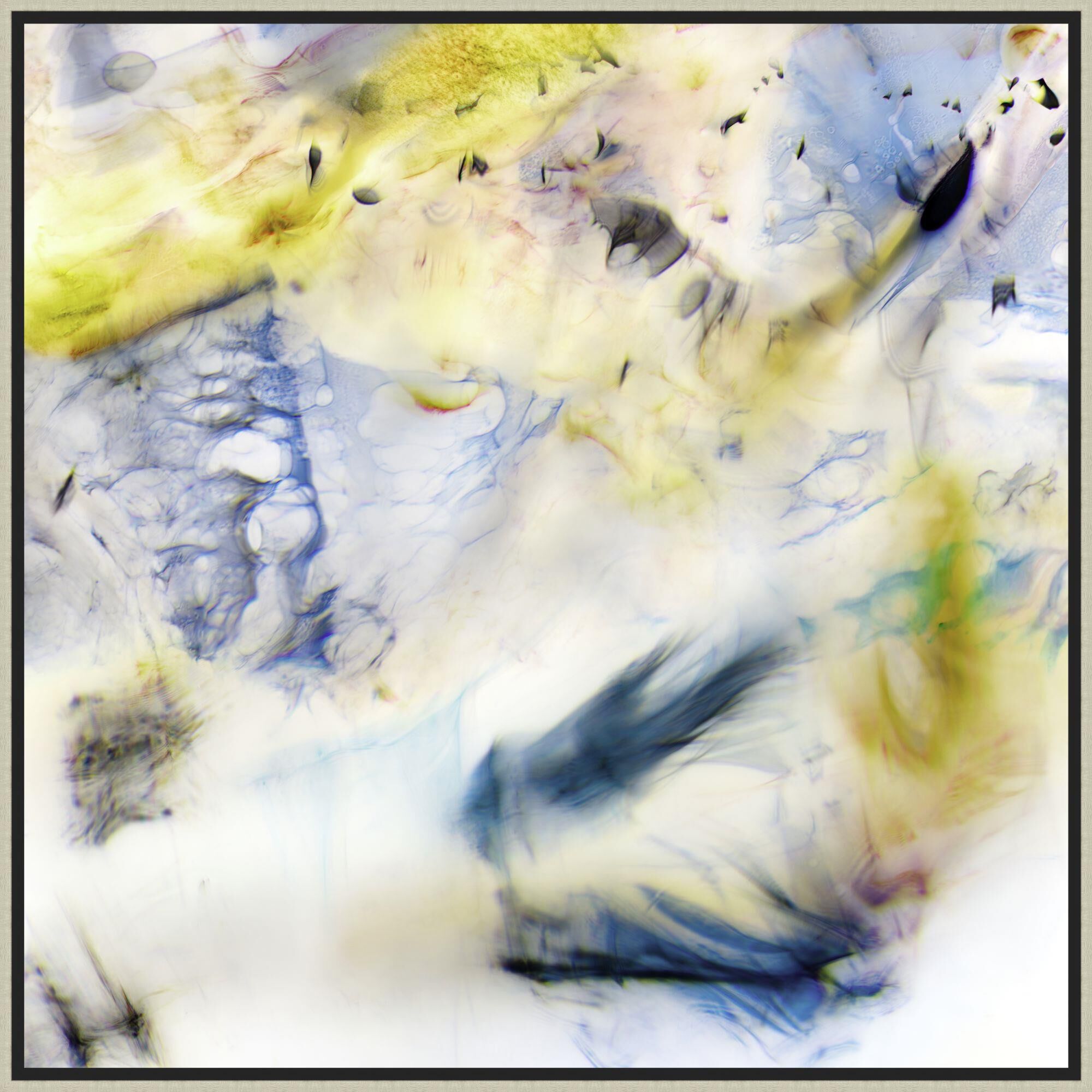 Fleeting Eclipse Print by LEVEL57