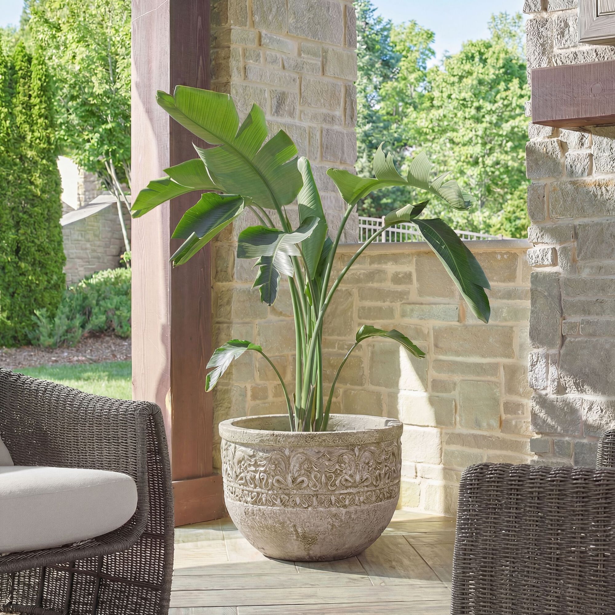 Regalia Planter,