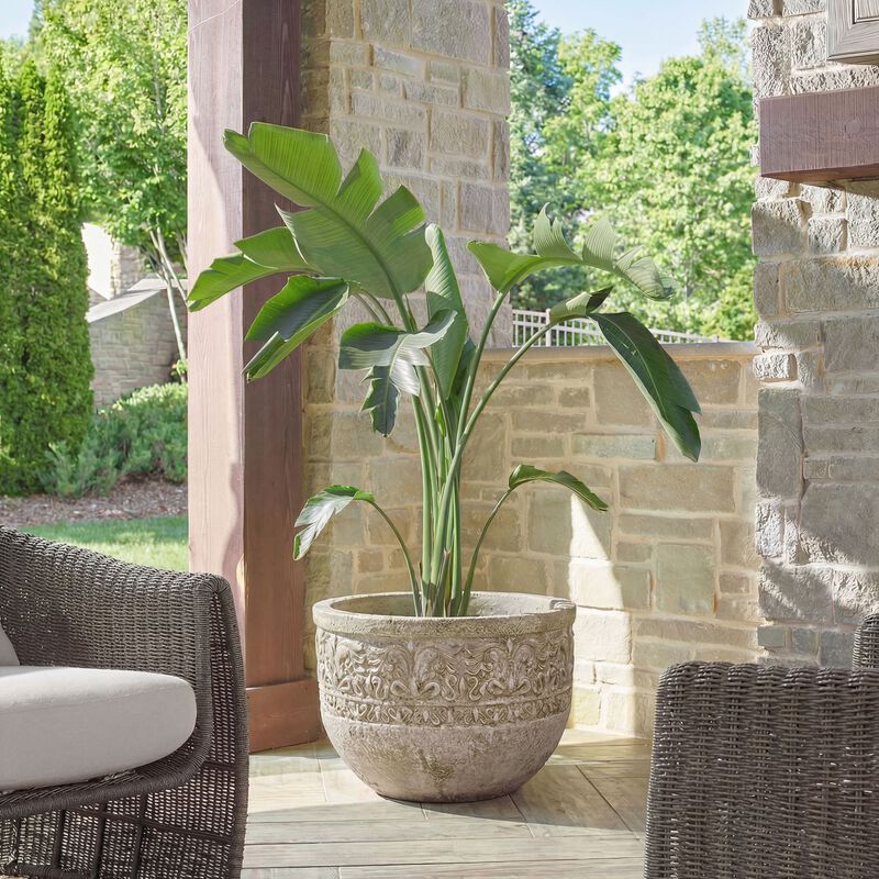 Regalia Planter by Uttermost