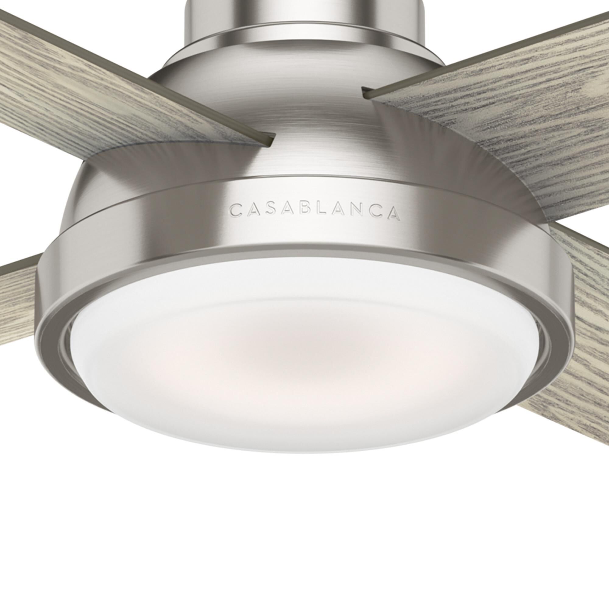 Levitt 54 Inch Ceiling Fan with Light Kit by Casablanca Fan Company