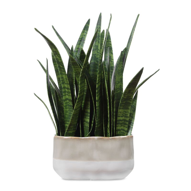Sansera Snake Botanical by Uttermost
