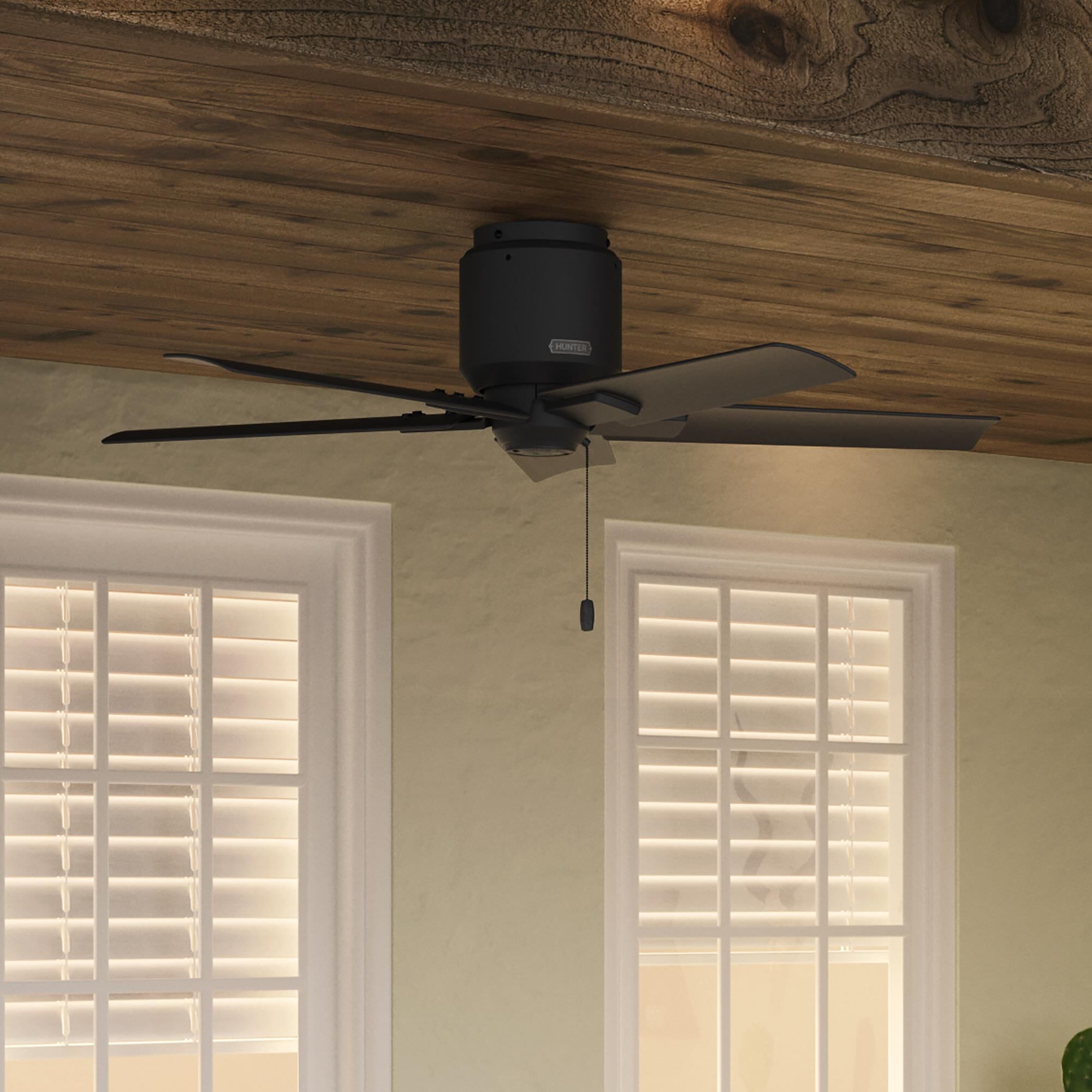 Terrace Cove 44 Inch Ceiling Fan by Hunter Fan