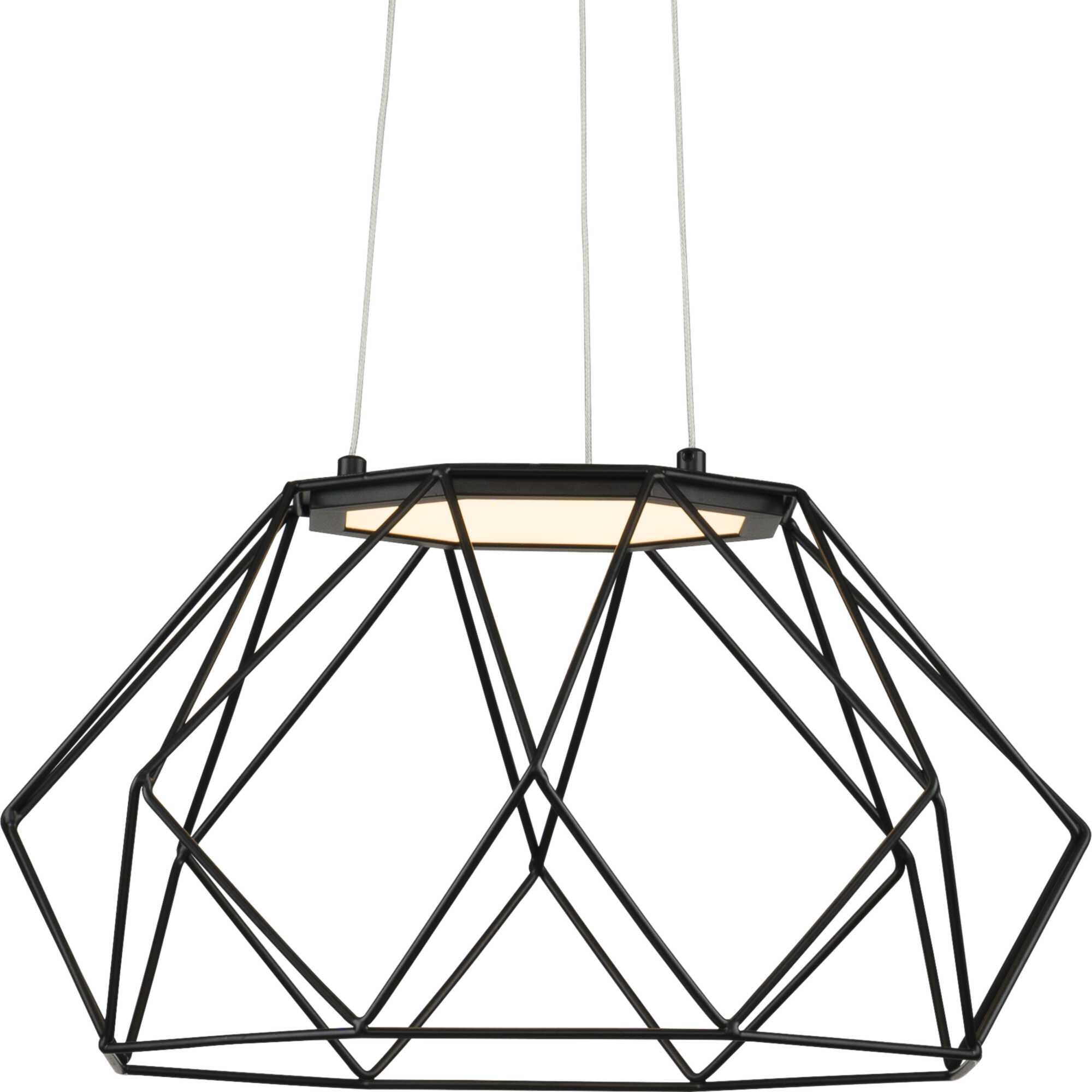 Progress Lighting Geodesic 17 Inch LED Cage Pendant