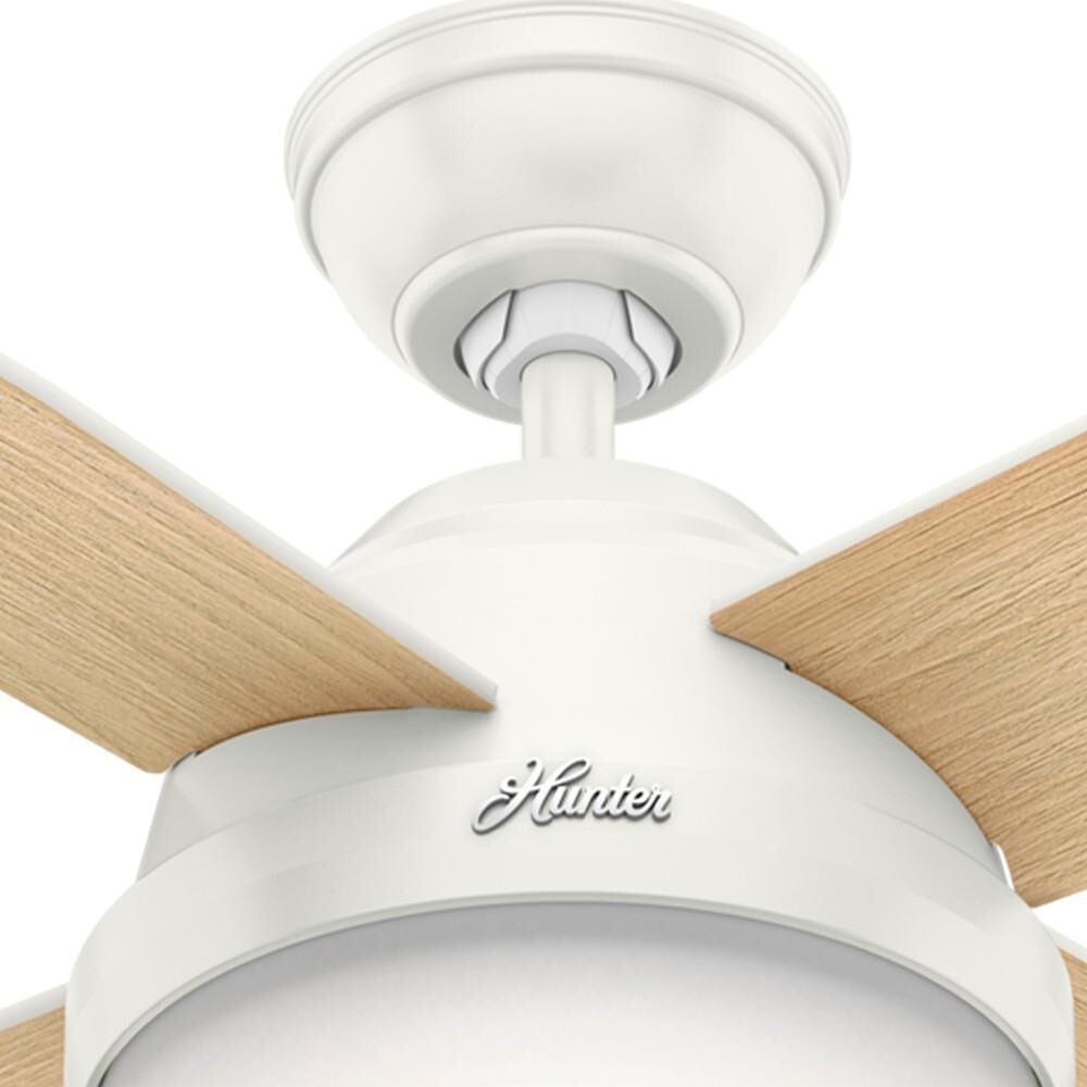 Dempsey 52 Inch Ceiling Fan with Light Kit by Hunter Fan