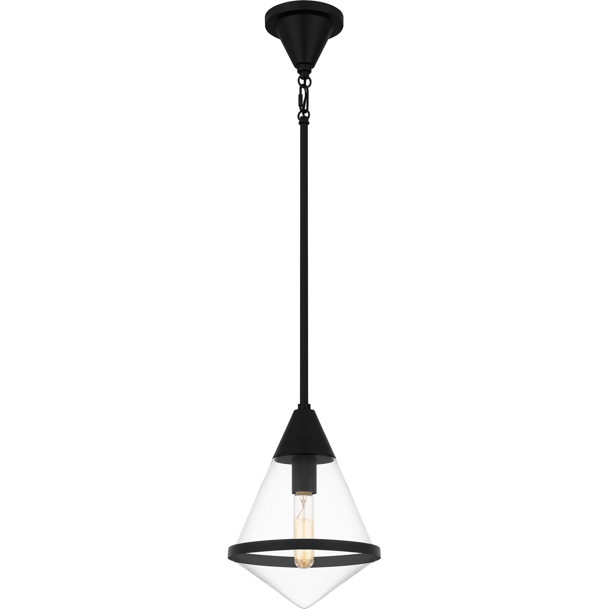 Shown in Matte Black finish and Clear Glass shade