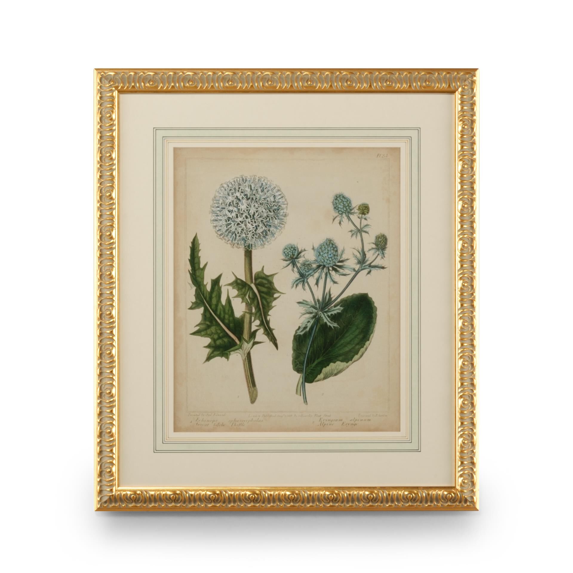 Cottage Florals Print,