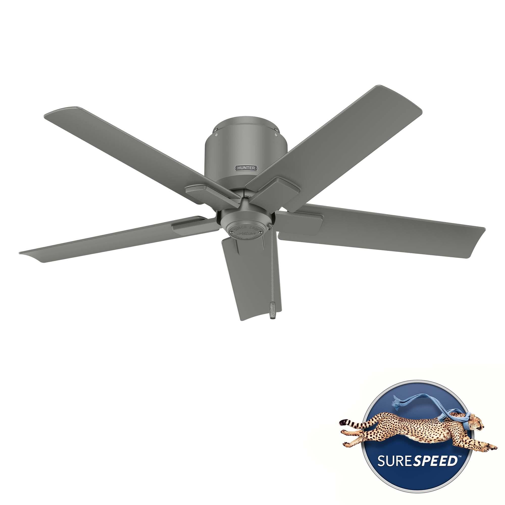 Terrace Cove 44 Inch Ceiling Fan by Hunter Fan