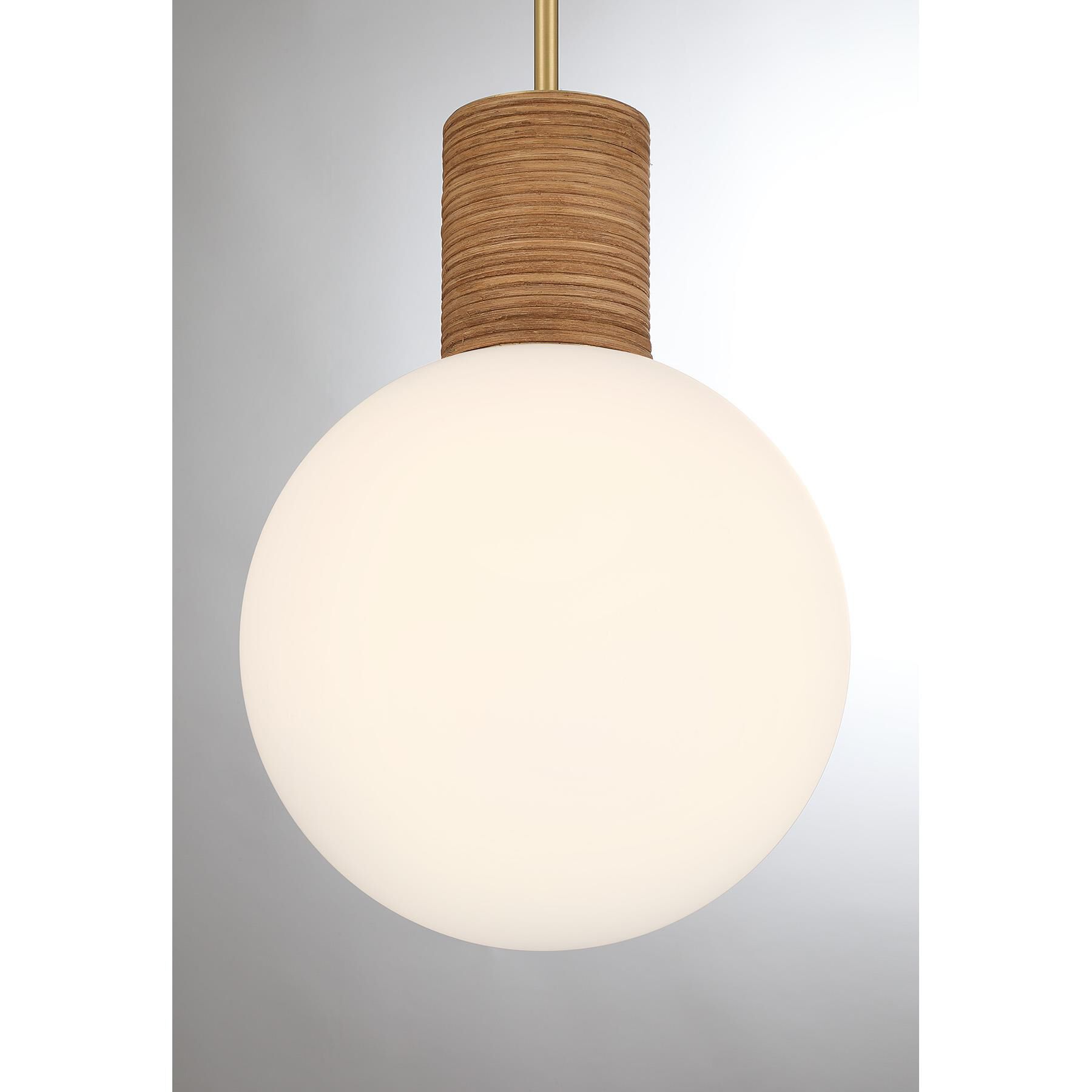 Jarrell Mini Pendant by Savoy House