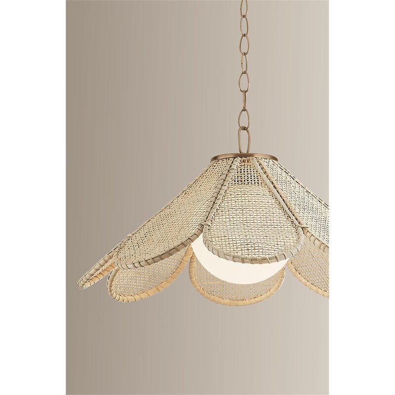 Lauren Liess Petal 24 Inch Large Pendant by Troy Lighting