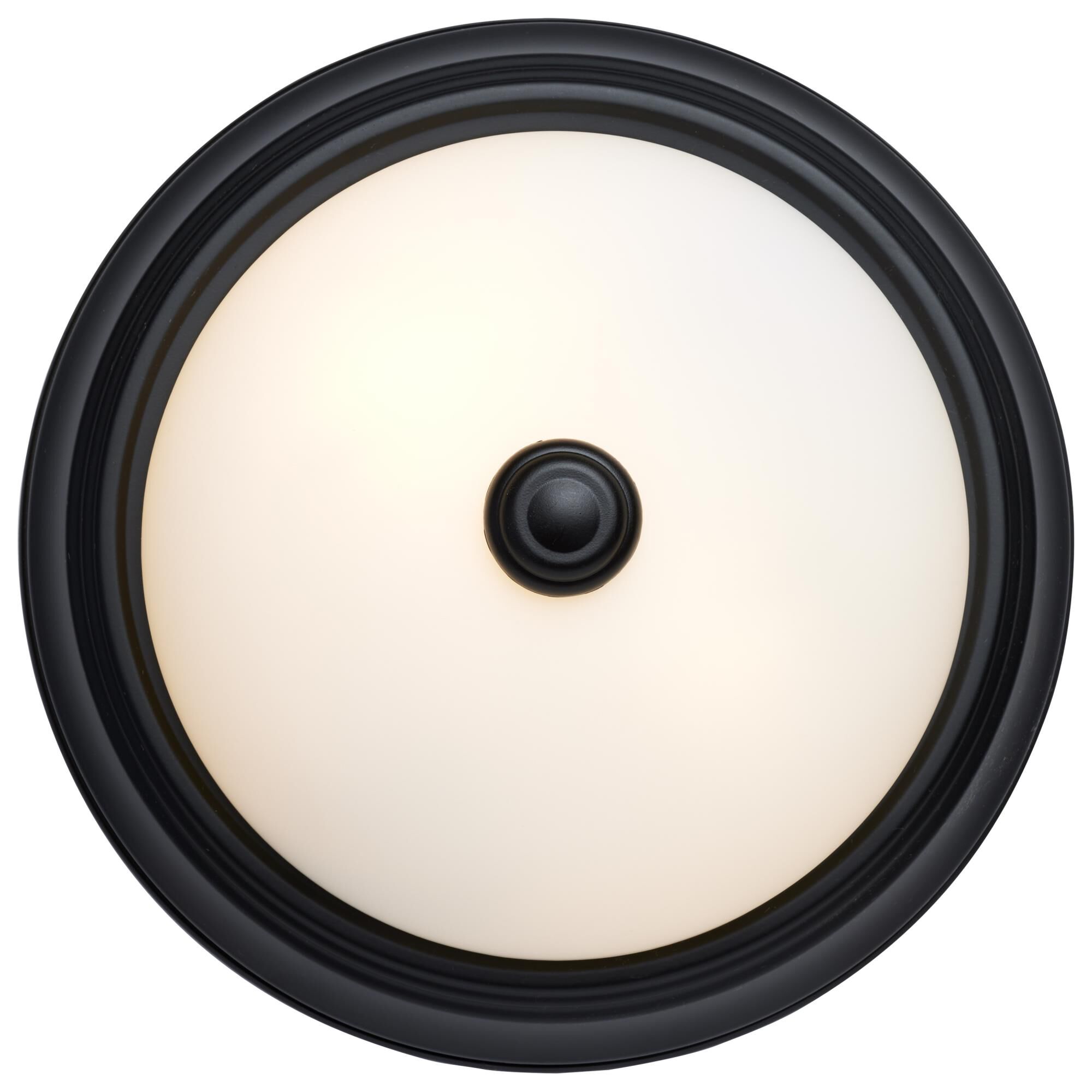 11 Inch 2 Light Flush Mount by Nuvo Lighting