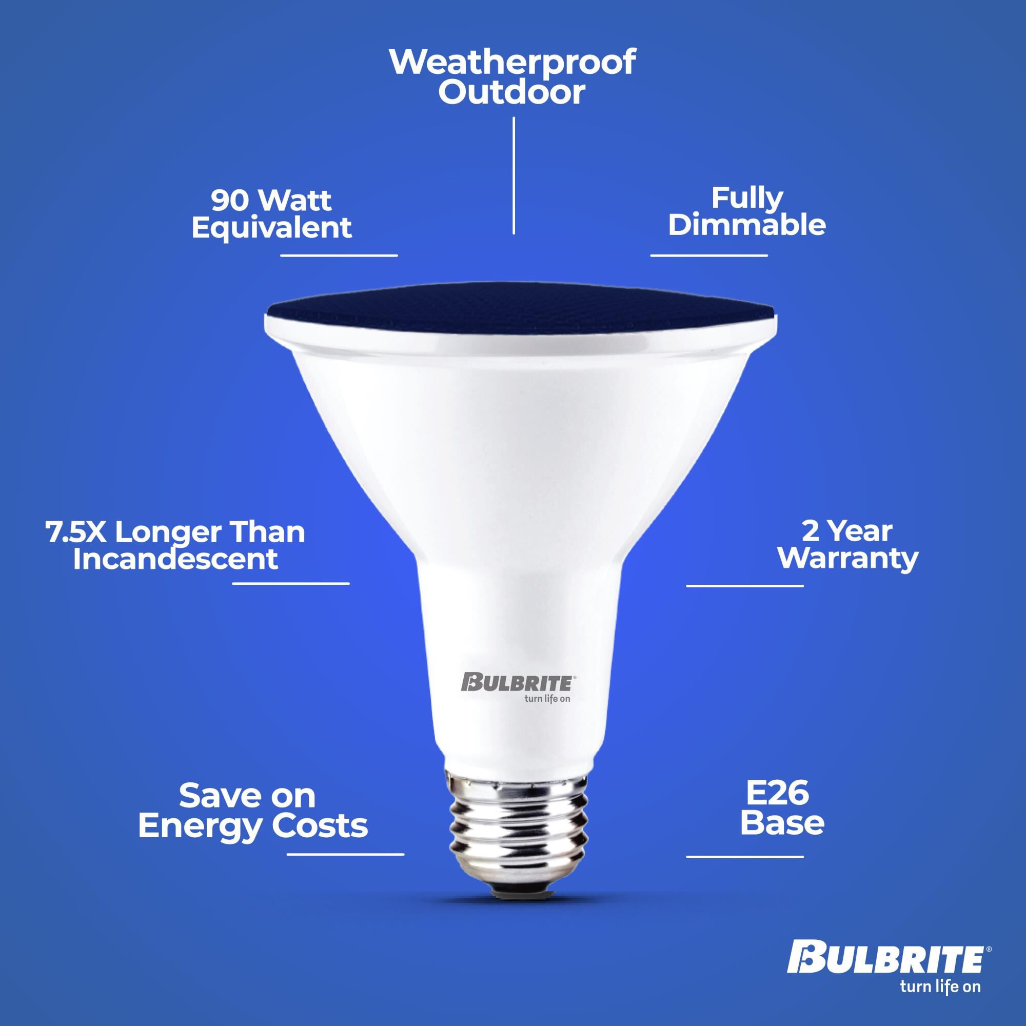 Blue PAR38 Base E26 LED Light Bulb by Bulbrite