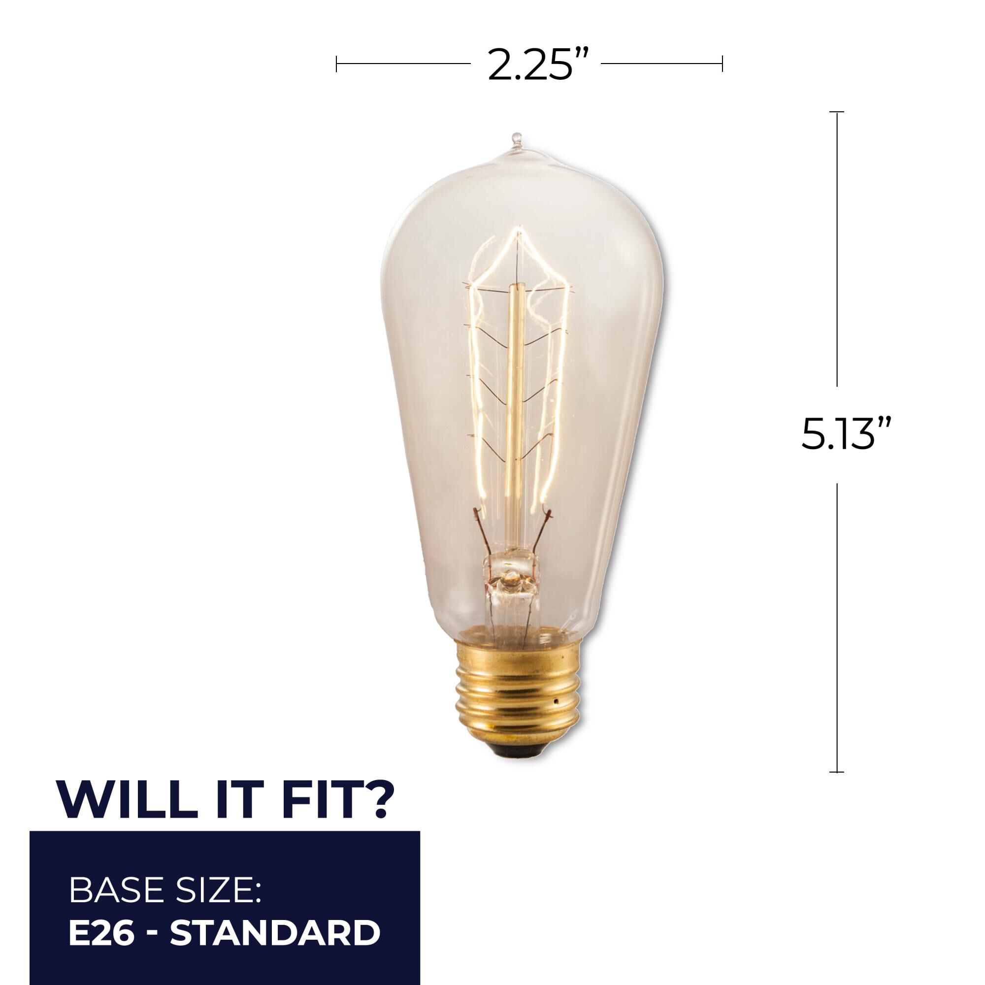 40 Watt 2200K ST18 Incandescent Light Bulb,