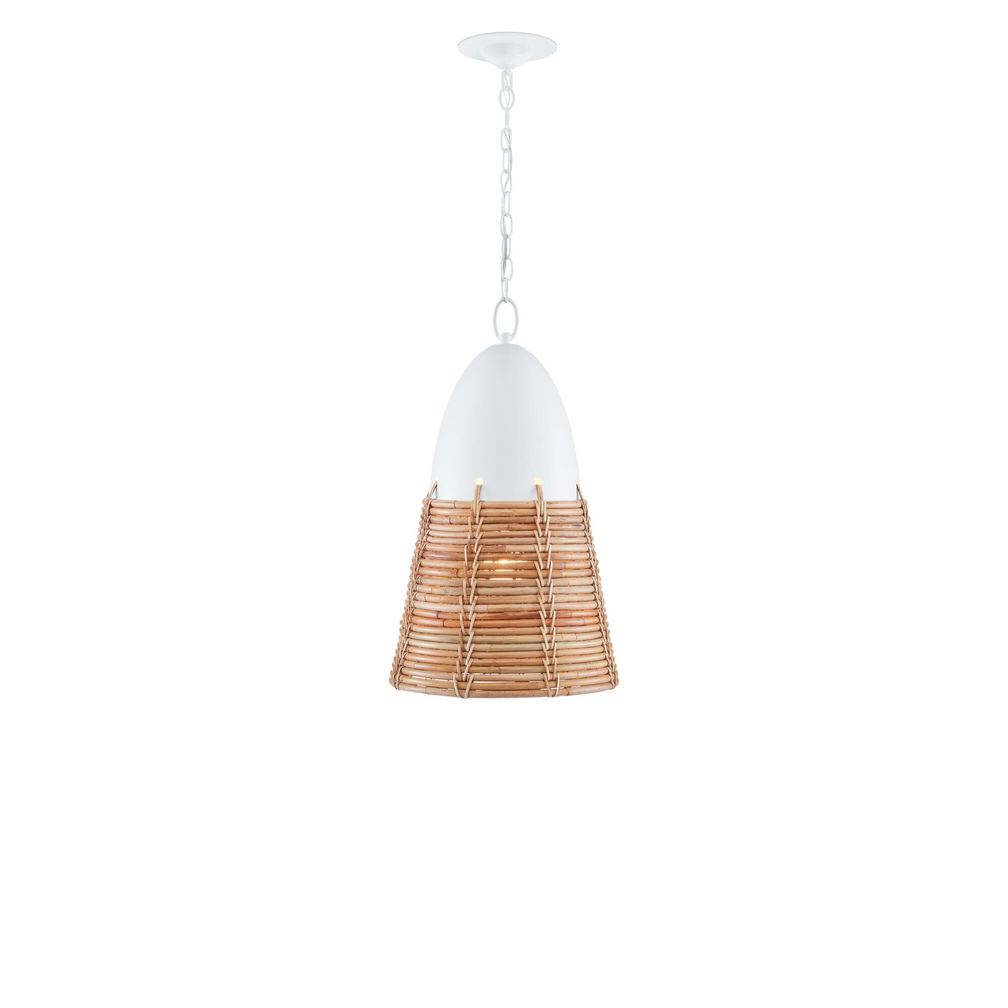 Arundo 14 Inch Large Pendant by Currey and Company