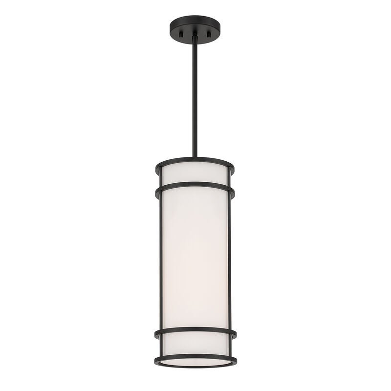 Porter 20 Inch Mini Pendant by Savoy House