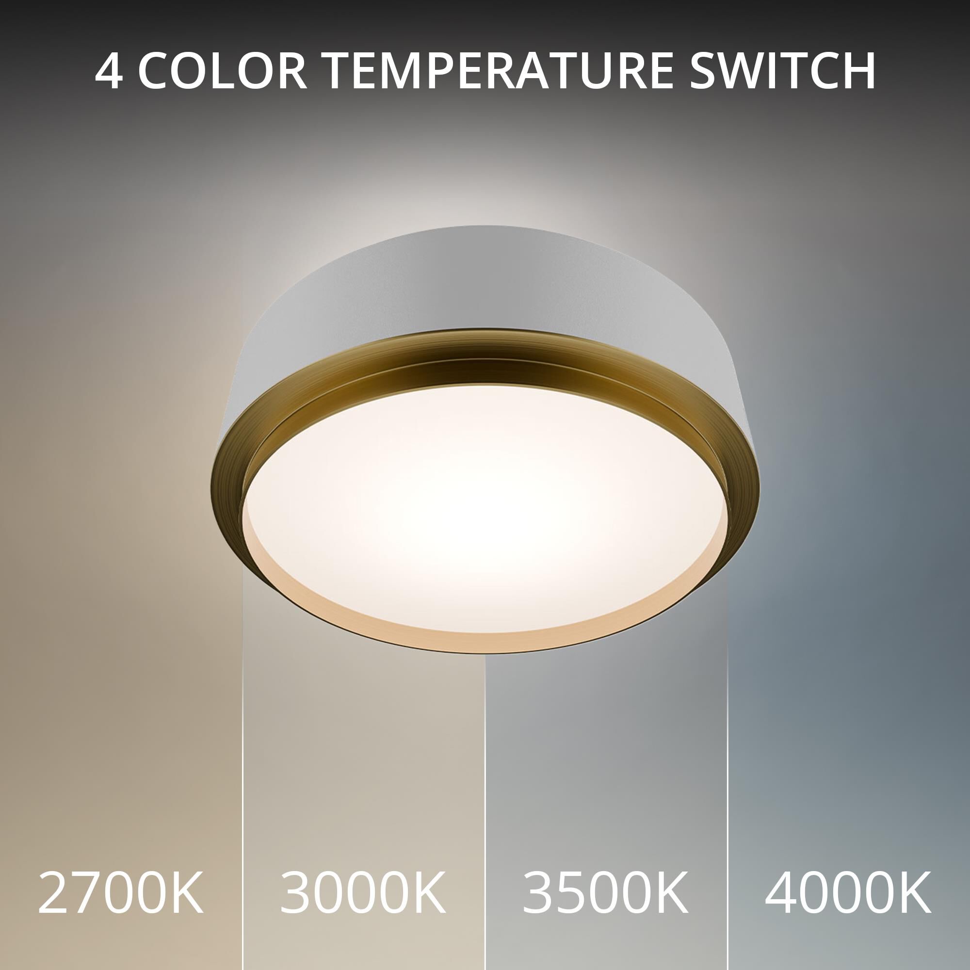 Salvo 12 Inch Flush Mount by dweLED