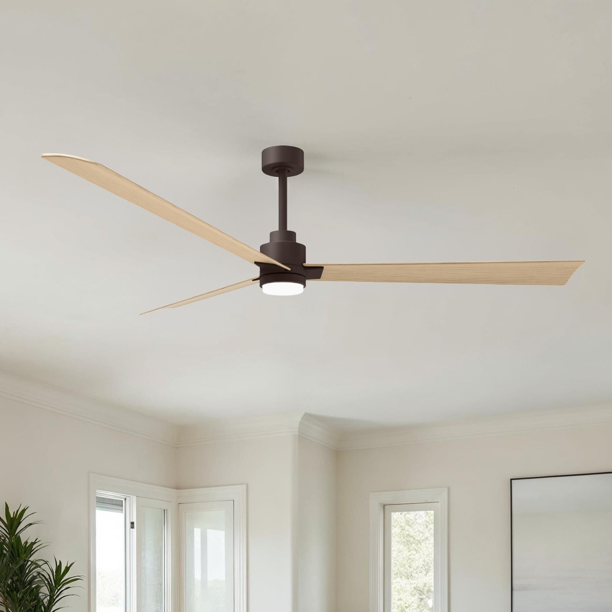 Alessandra 72 Inch Ceiling Fan by Matthews Fan Company