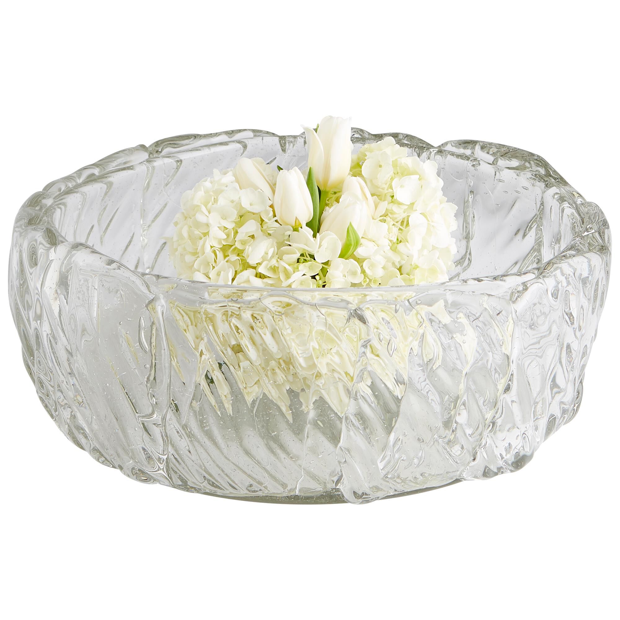 Clearly Thorough Bowl Bowl by Cyan Designs