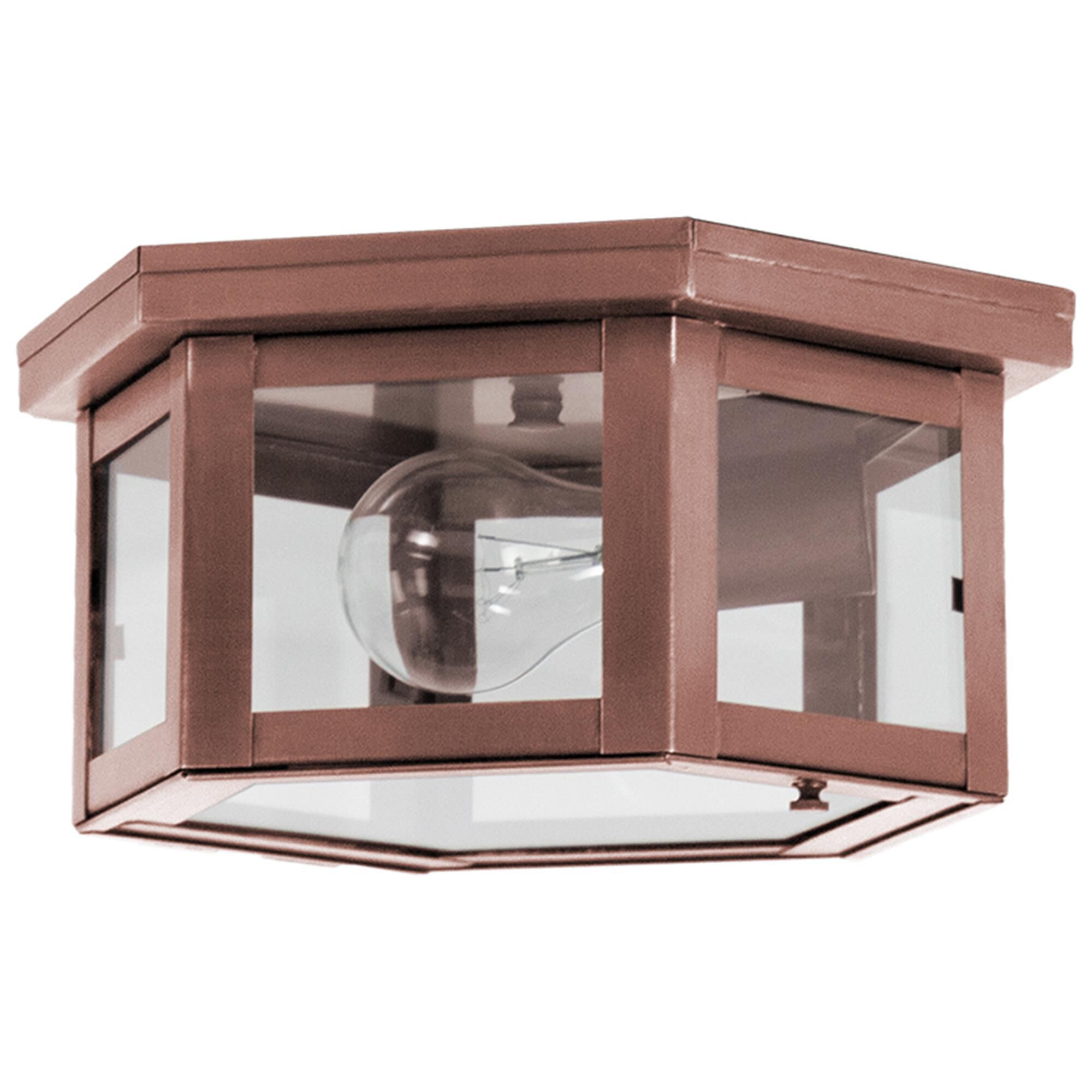 Williams 10 Inch Outdoor Flush Mount,