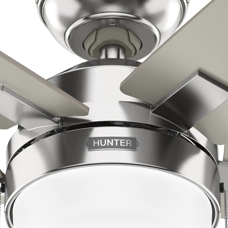 Anisten 52 Inch Ceiling Fan with Light Kit by Hunter Fan