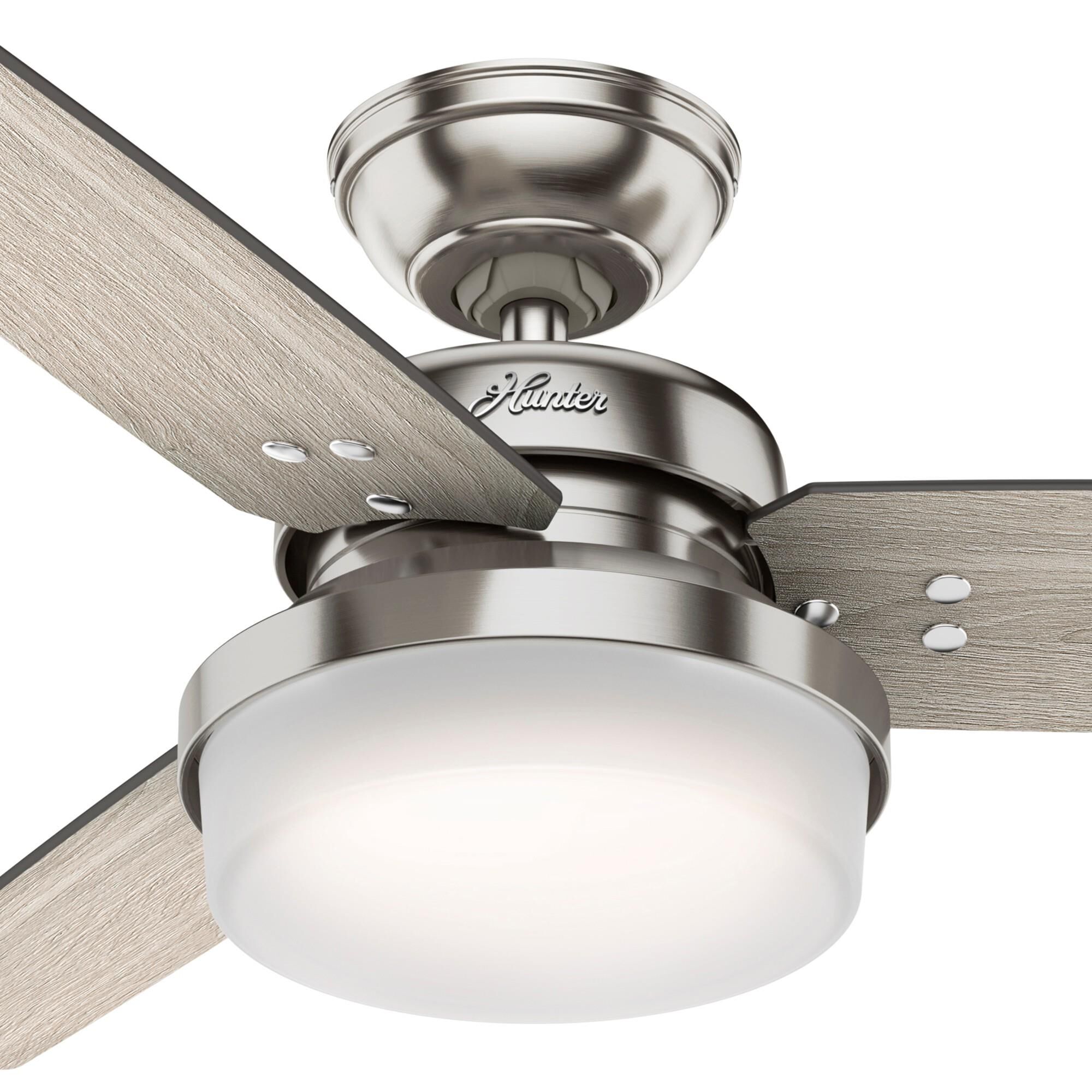 Sentinel 44 Inch Ceiling Fan with Light Kit by Hunter Fan