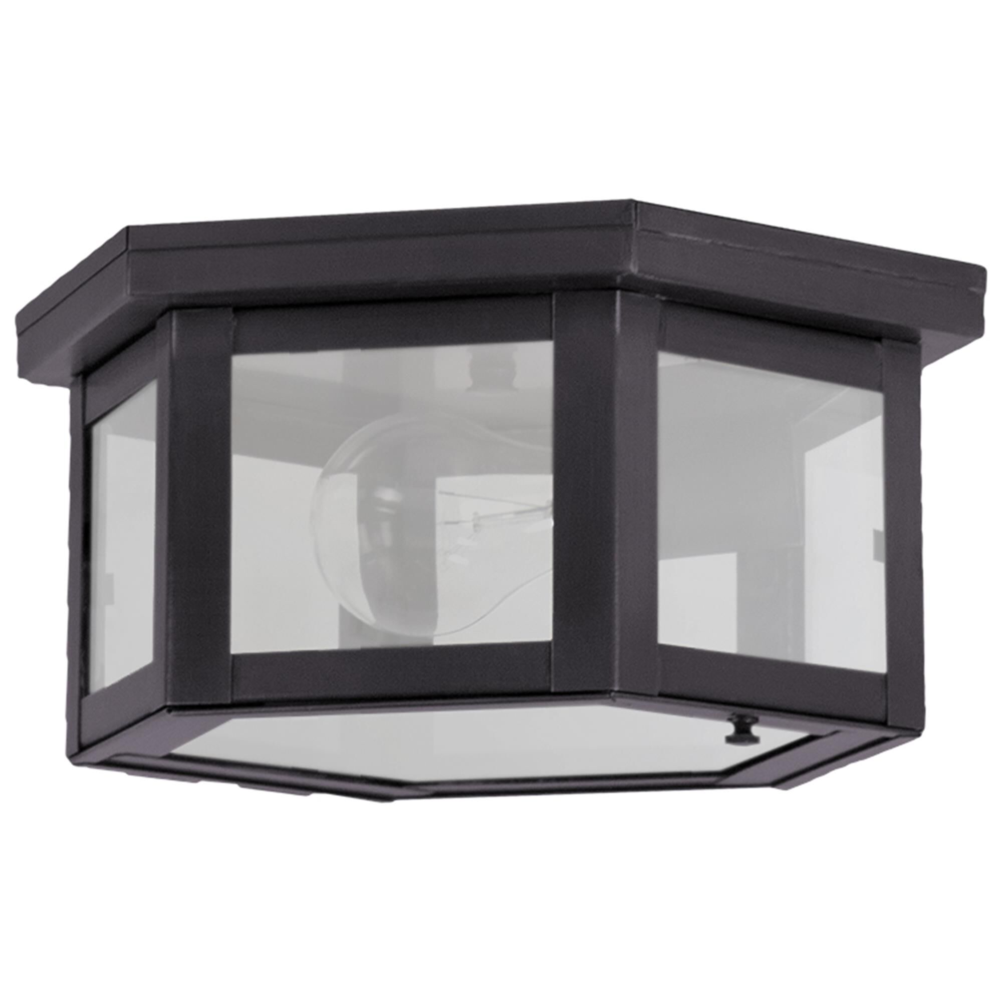 Williams 10 Inch Outdoor Flush Mount,