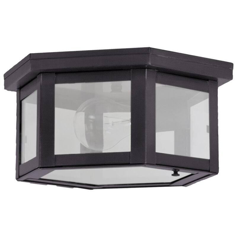 Williams 10 Inch Outdoor Flush Mount by Northeast Lantern