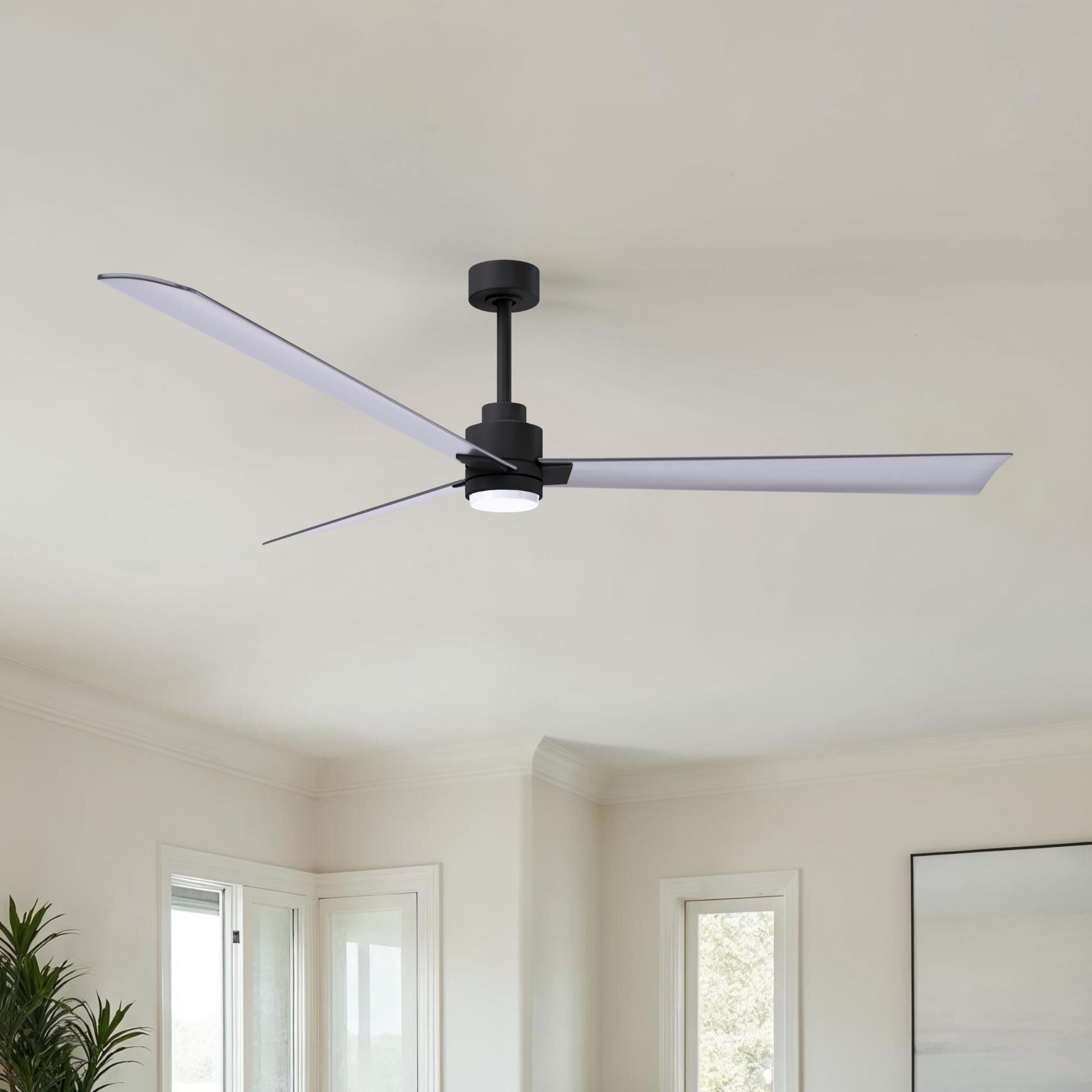 Alessandra 72 Inch Ceiling Fan by Matthews Fan Company
