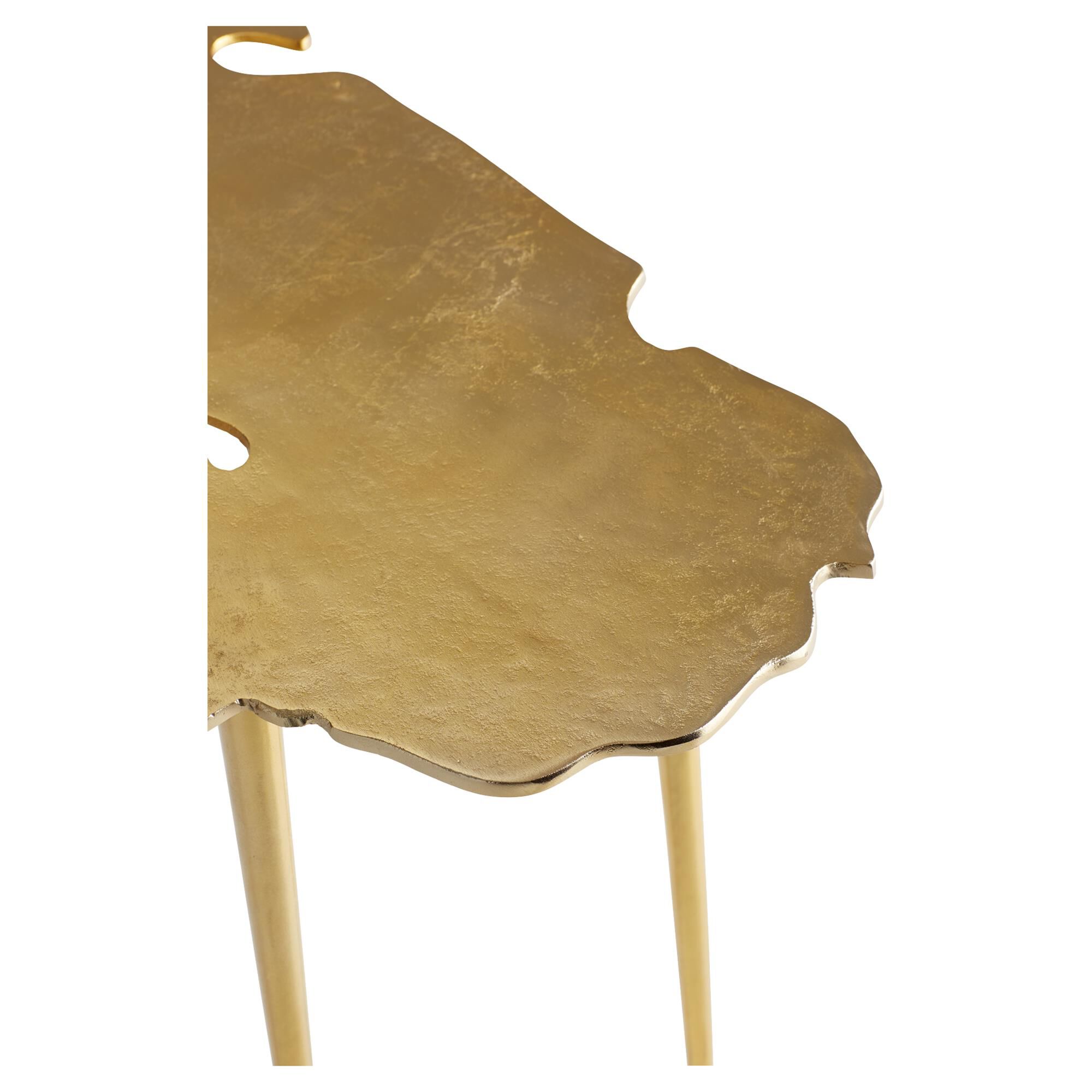 Atlas Coffee Table by Cyan Designs