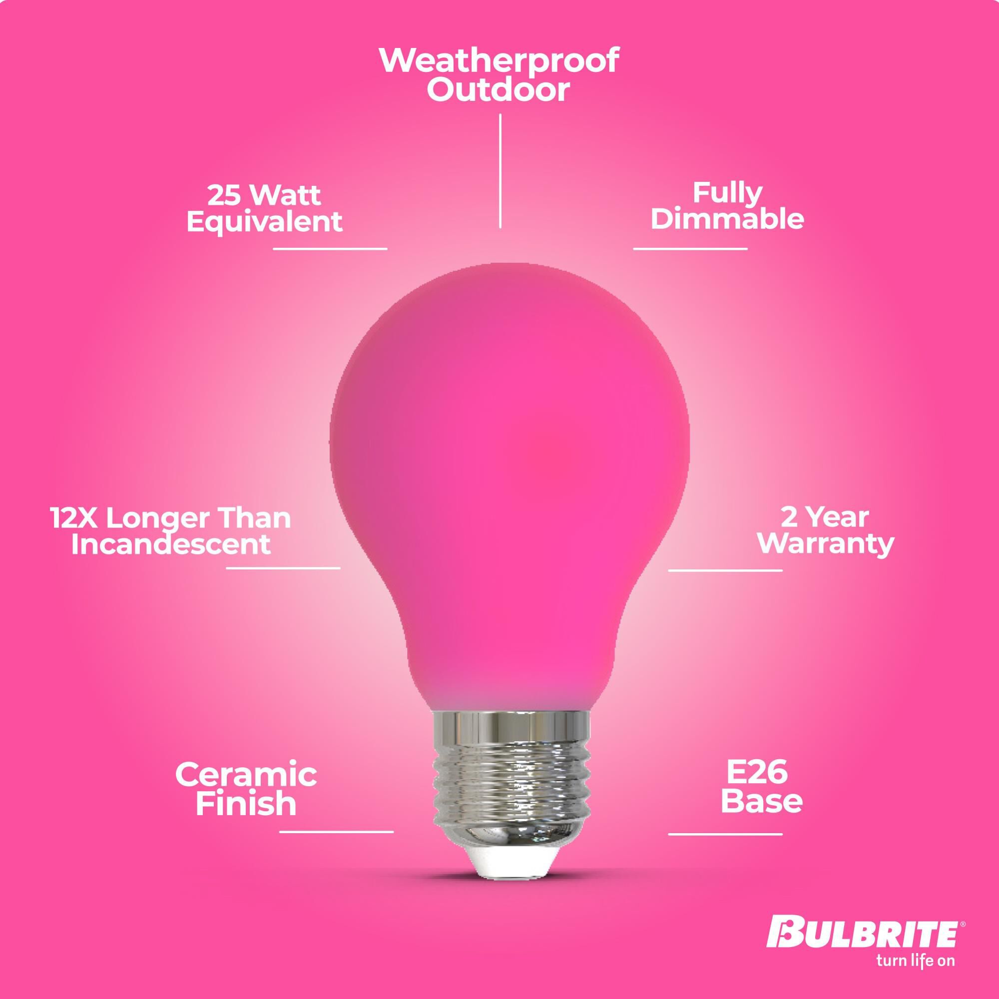 Ceramic Pink A19 Base E26 LED Light Bulb by Bulbrite
