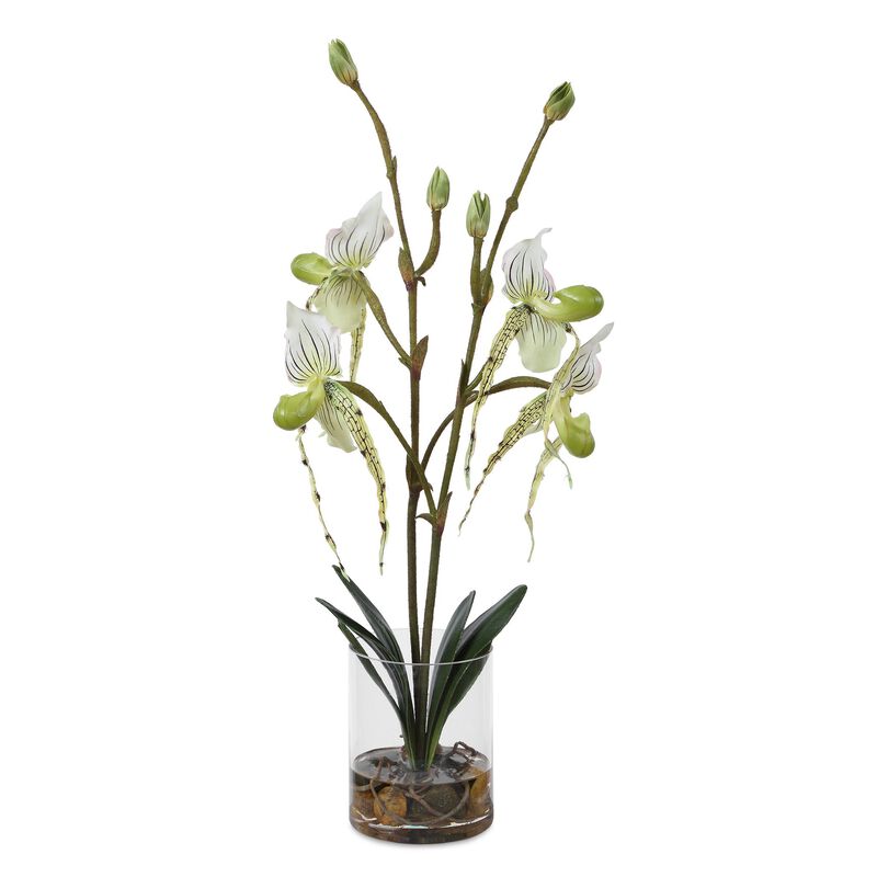 Lady Botanical by Uttermost
