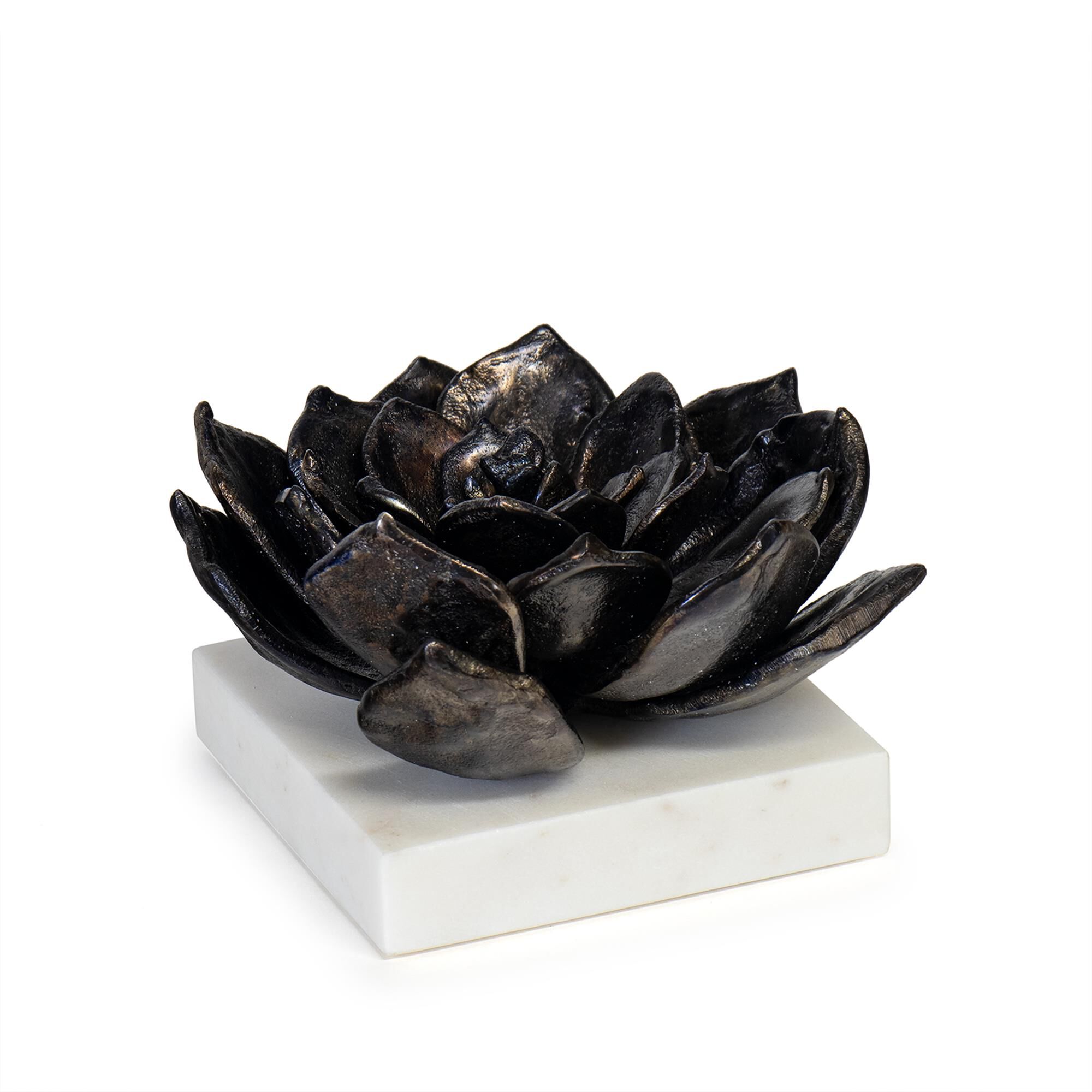 Succulent 8 Inch Sculpture by Regina Andrew