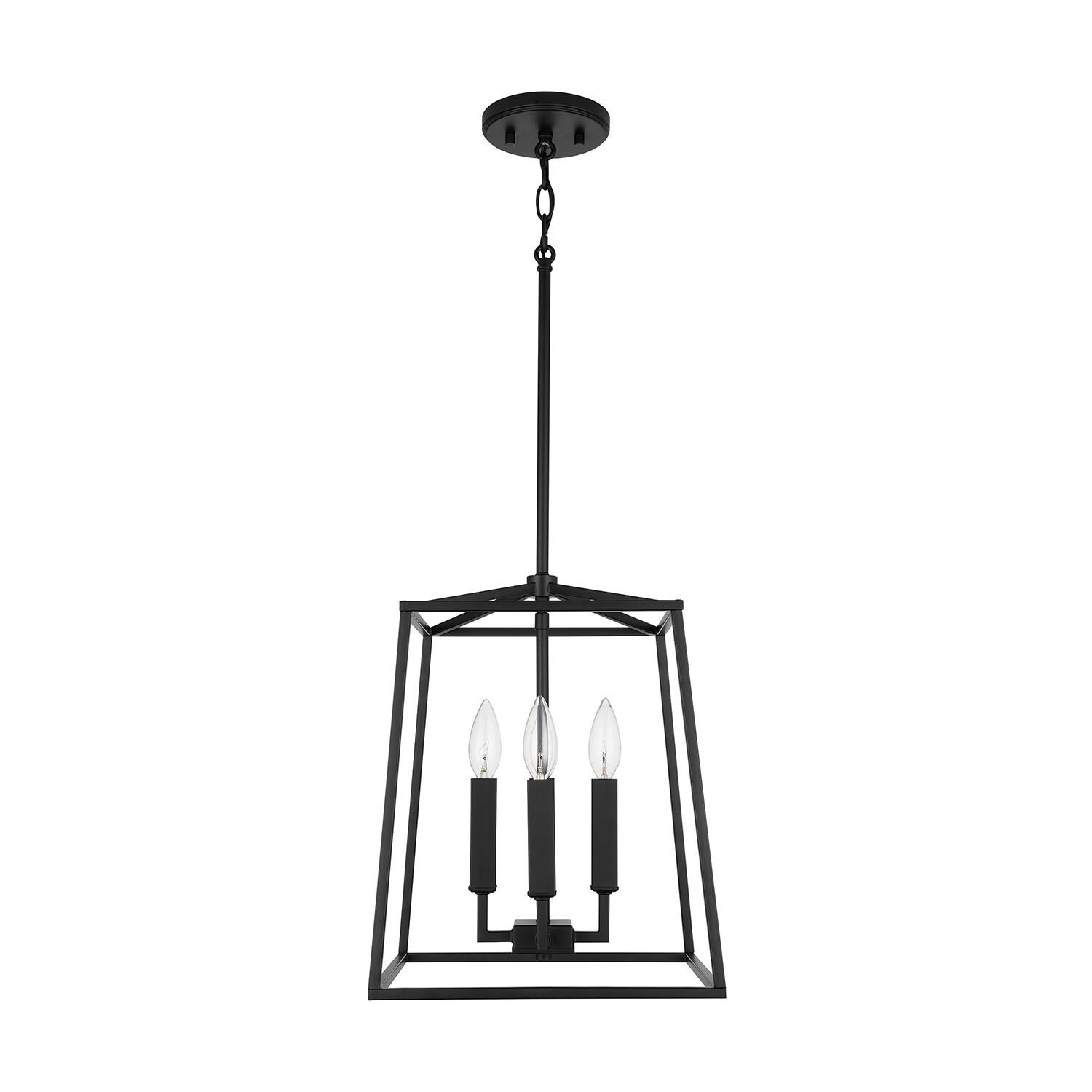 Thea 12 Inch Cage Pendant by Capital Lighting Fixture Company