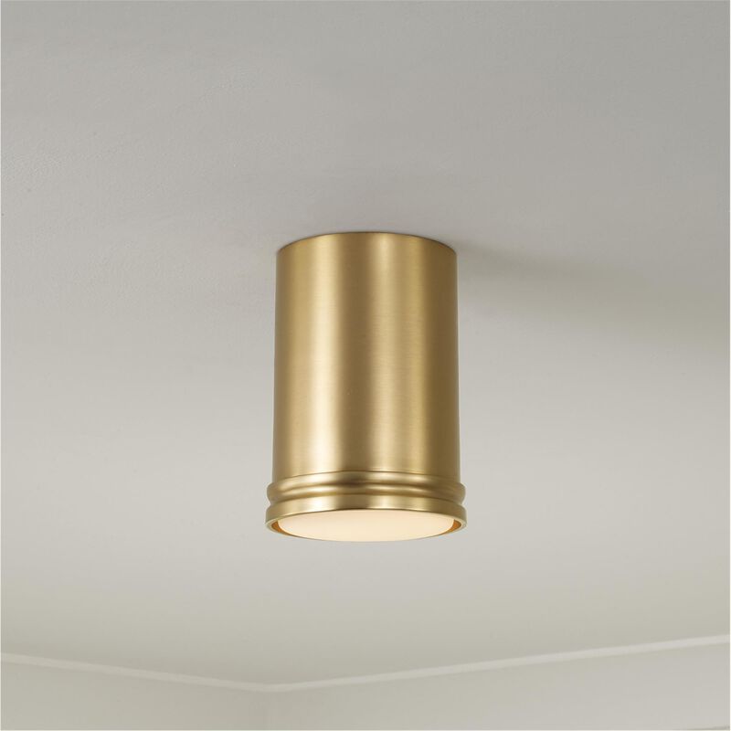 Griffin 6 Inch Flush Mount by Capital Lighting