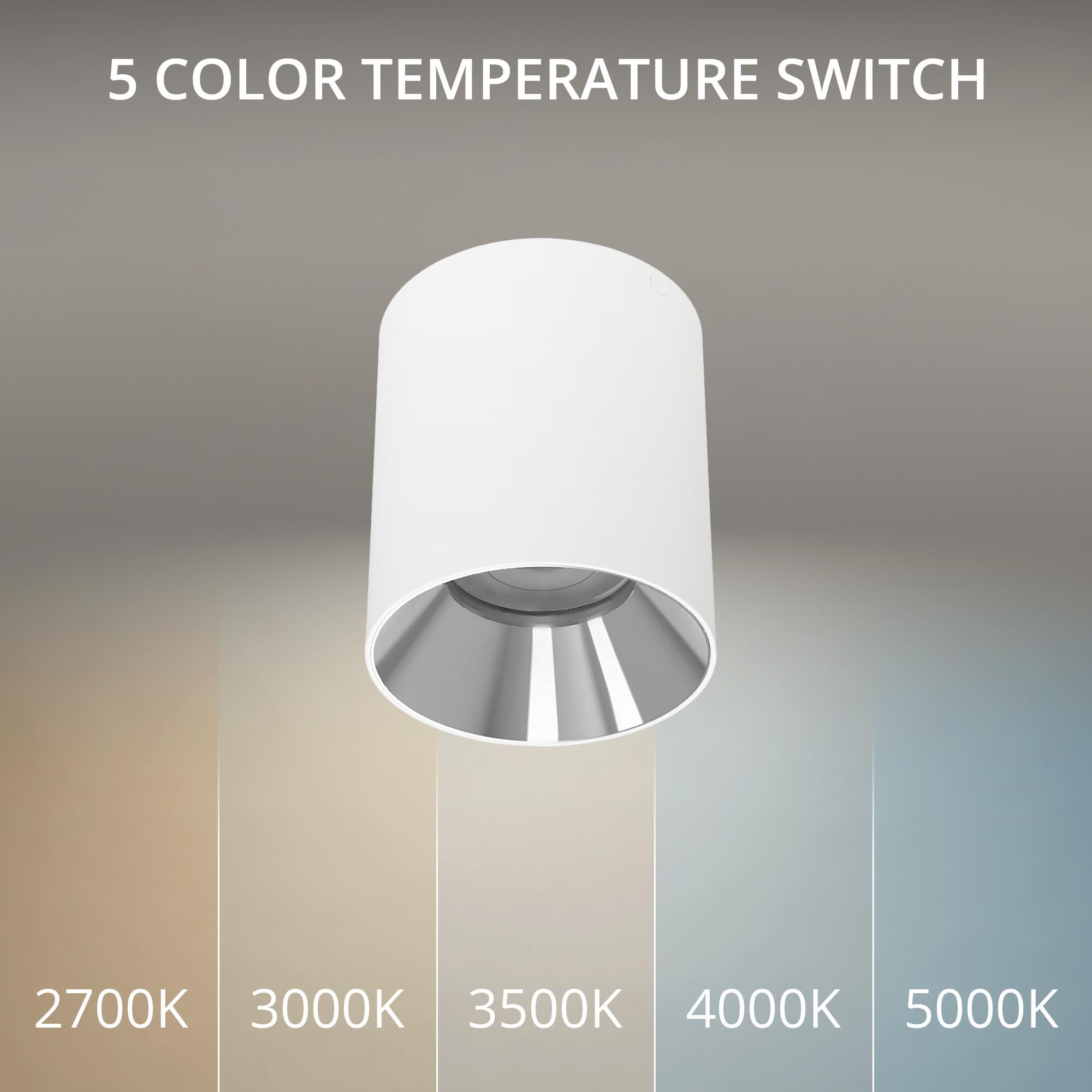 Shown in White and Chrome finish