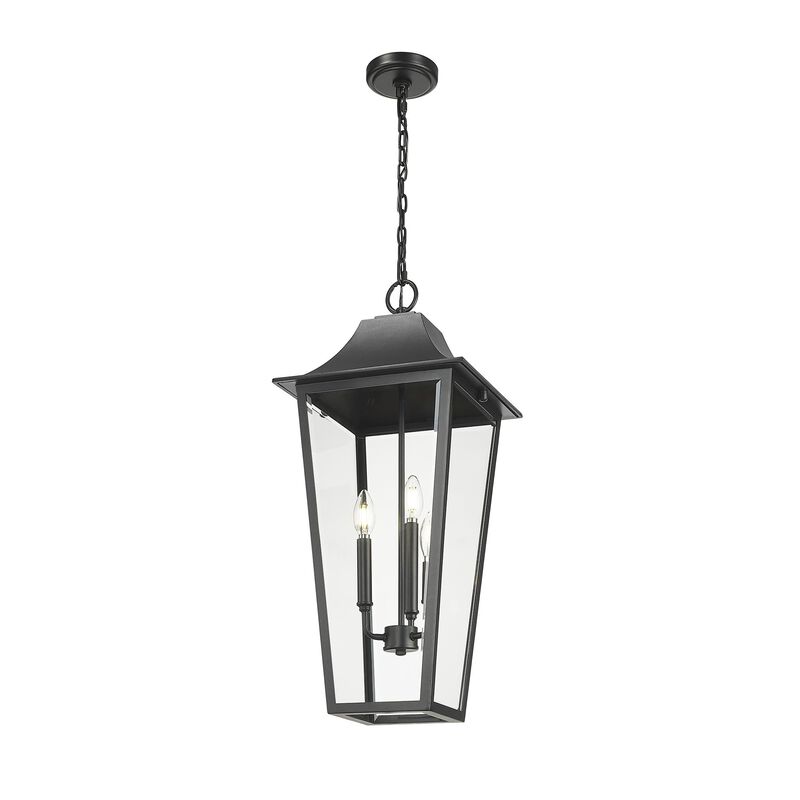 Gannon 12 Inch Outdoor Hanging Lantern by Z Lite