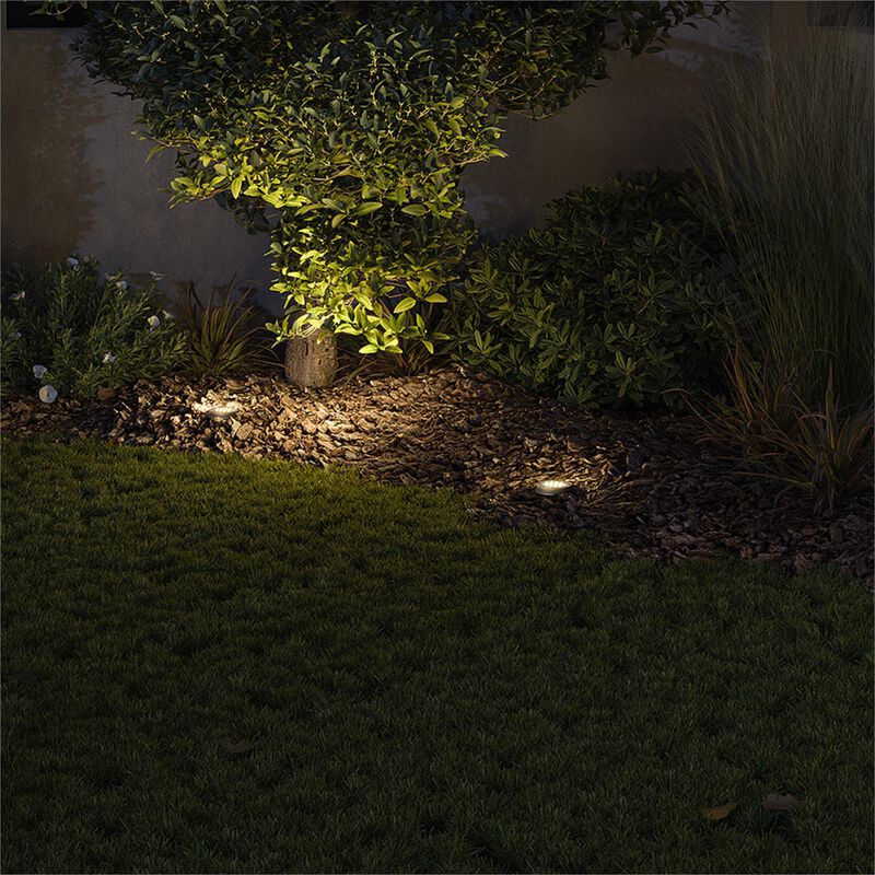 Hardy Island In-Ground Light by Hinkley