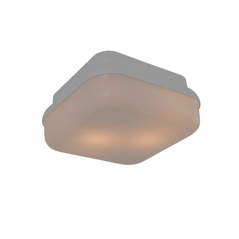 Resilience Lanterns 10 Inch Outdoor Flush Mount by Craftmade