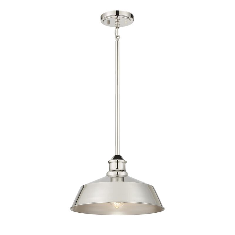 Meridian Lighting 14 Inch LED Large Pendant